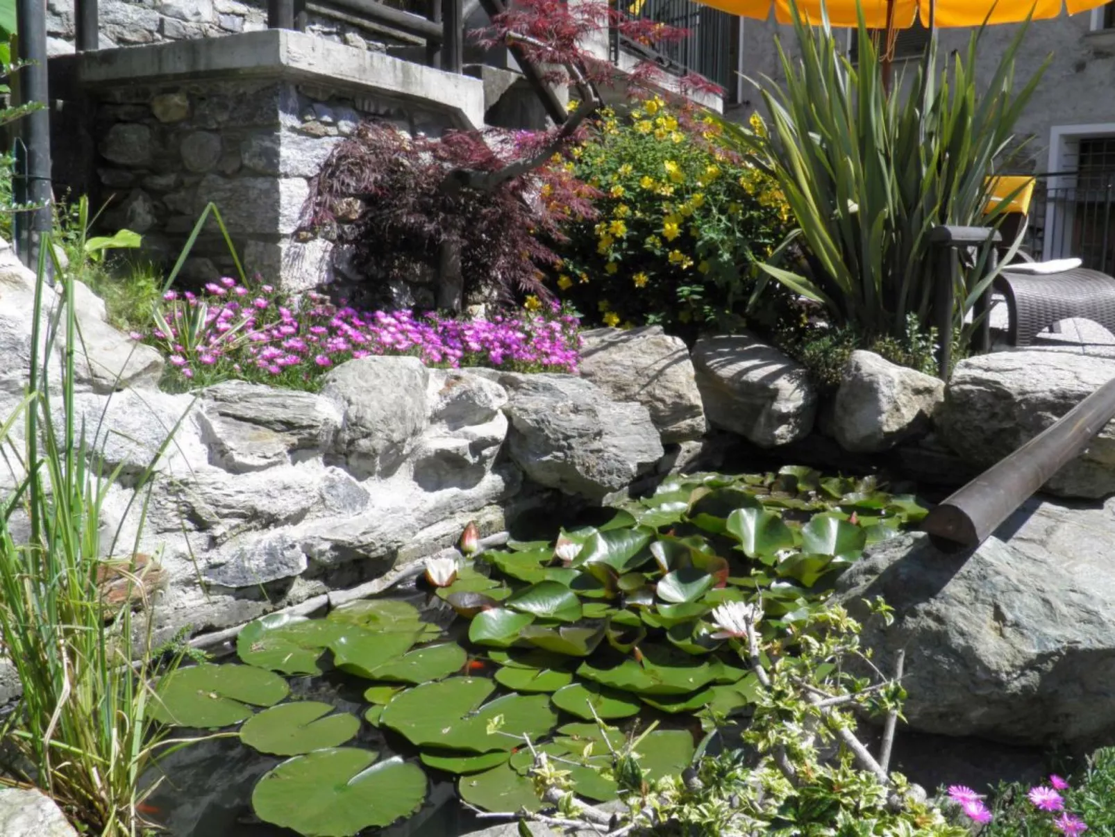 Trebbiano-Image-tags.info