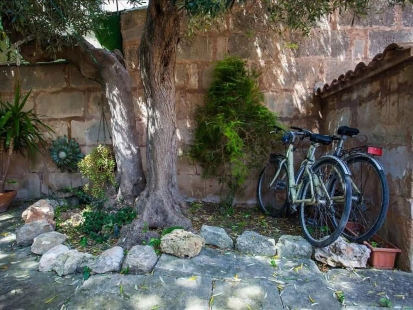 Casa Concha, Salines-Image-tags.info