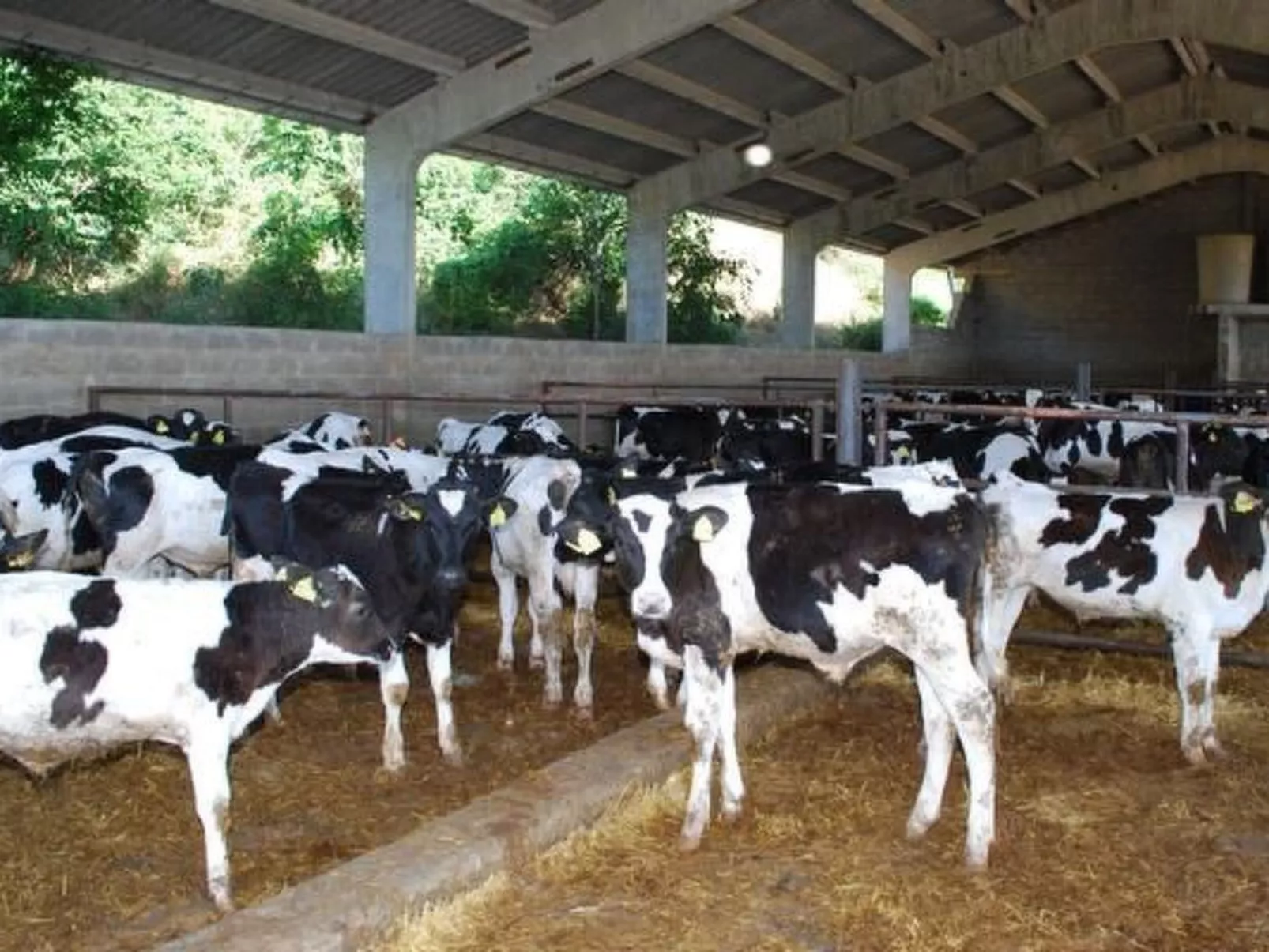 "Cal Serveró." mit Terrasse-Image-tags.info