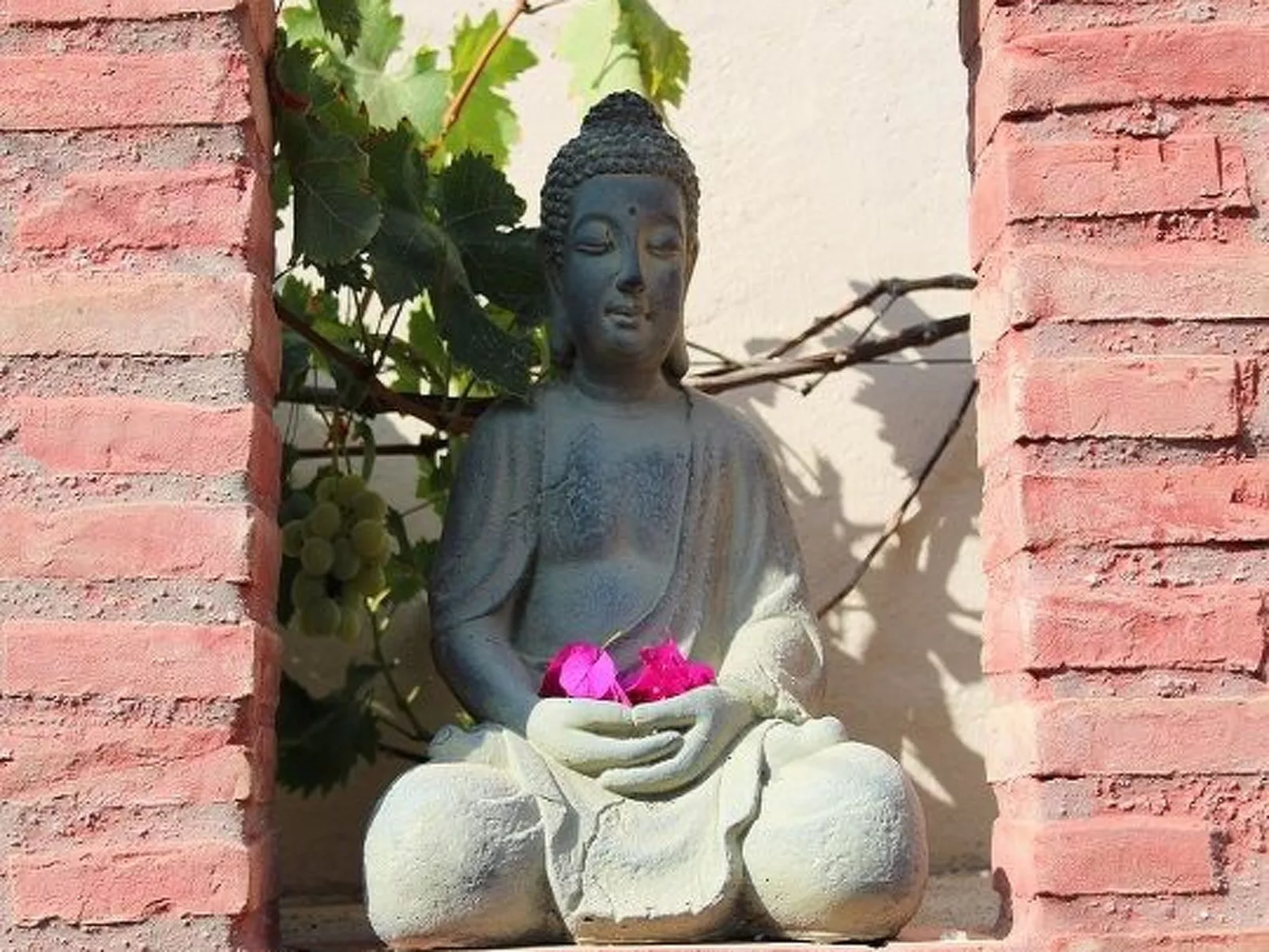 Casa Magdalena, Fincahaus, Hund erlaubt, Pool-Dehors