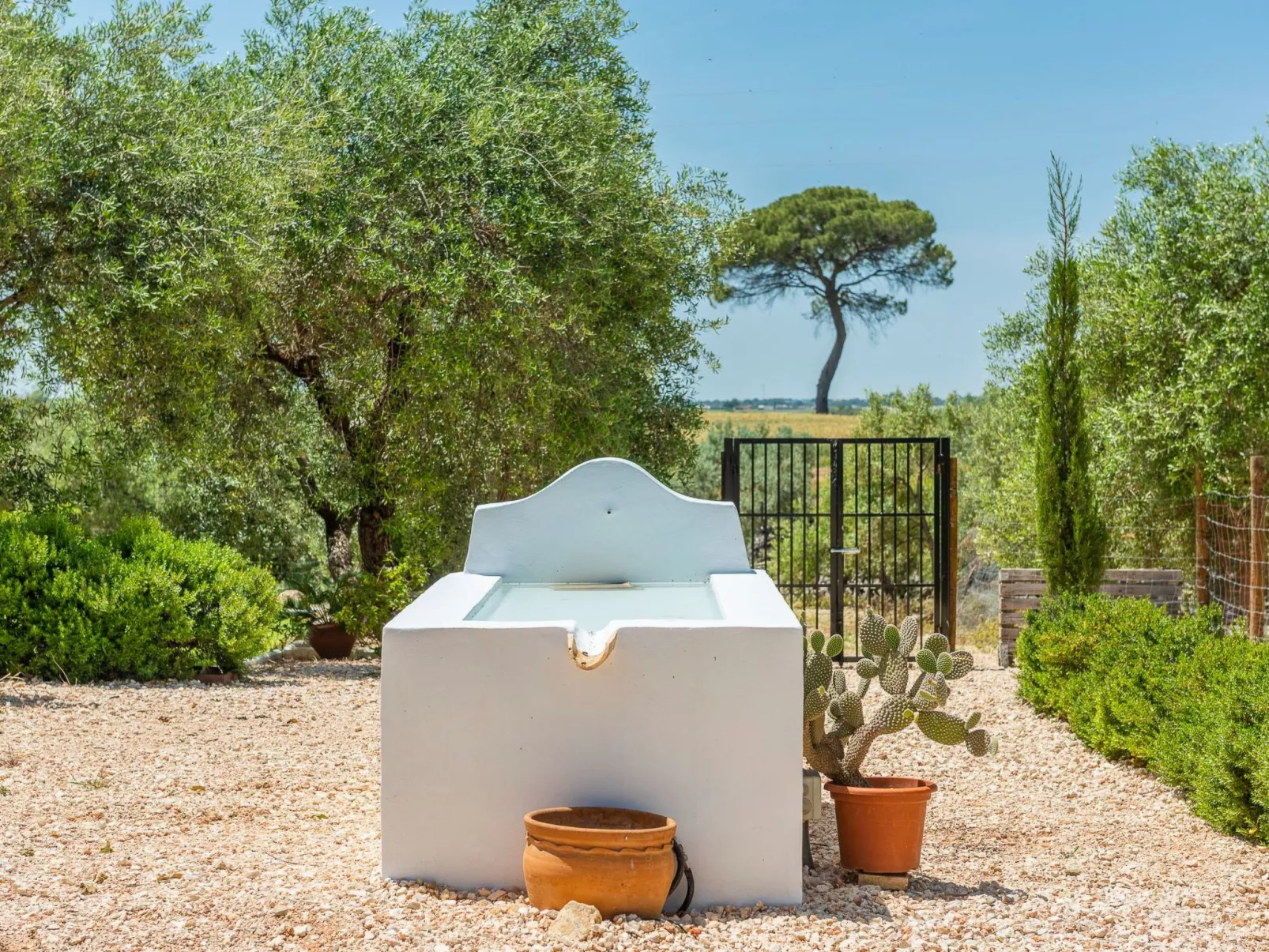 Hacienda San Antonio-Dehors