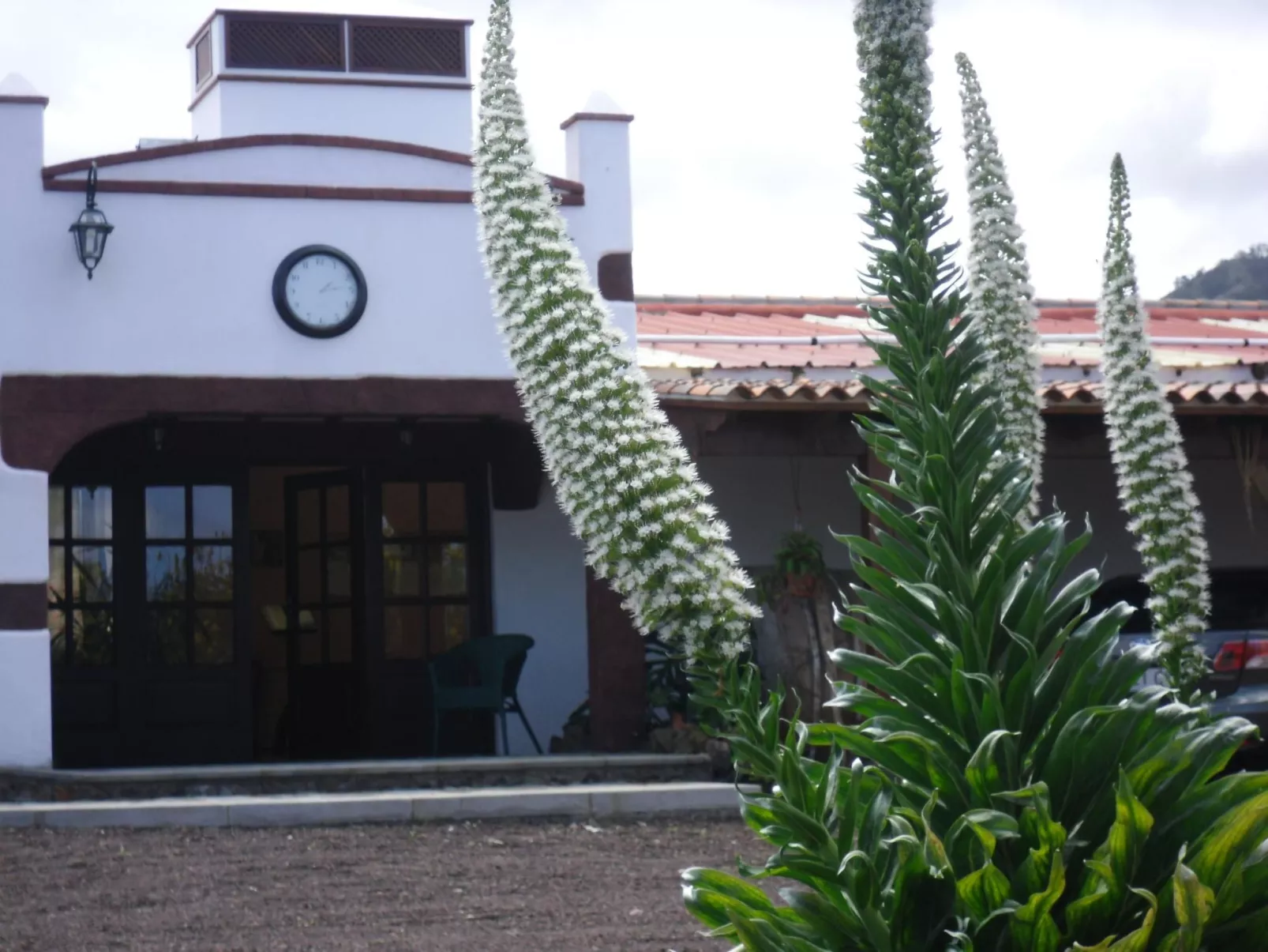 Urlaub in der Natur mit Meerblick-Outside