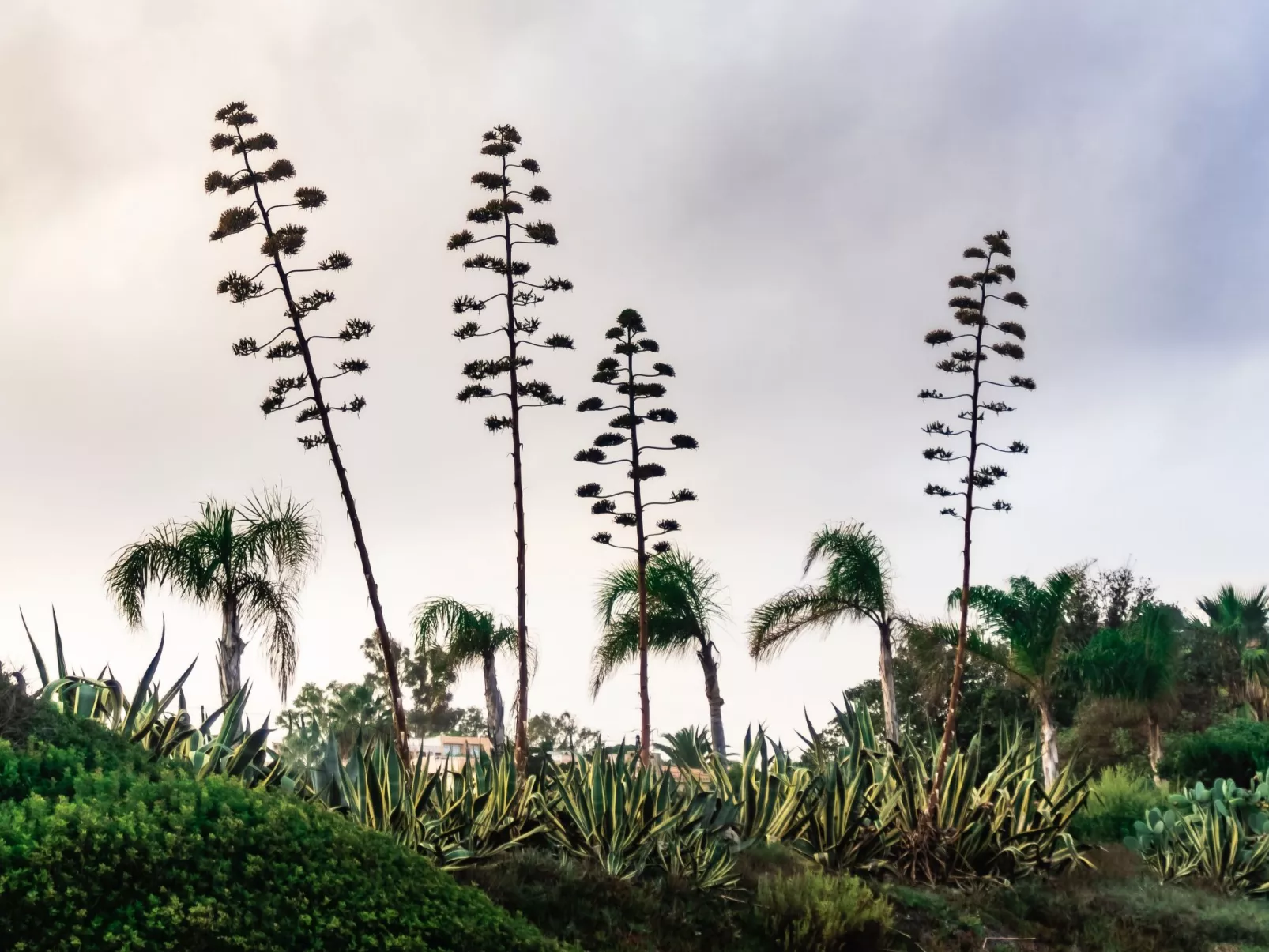 Haus in Costa Rei mit Terrasse, Garten und Grill-Image-tags.info
