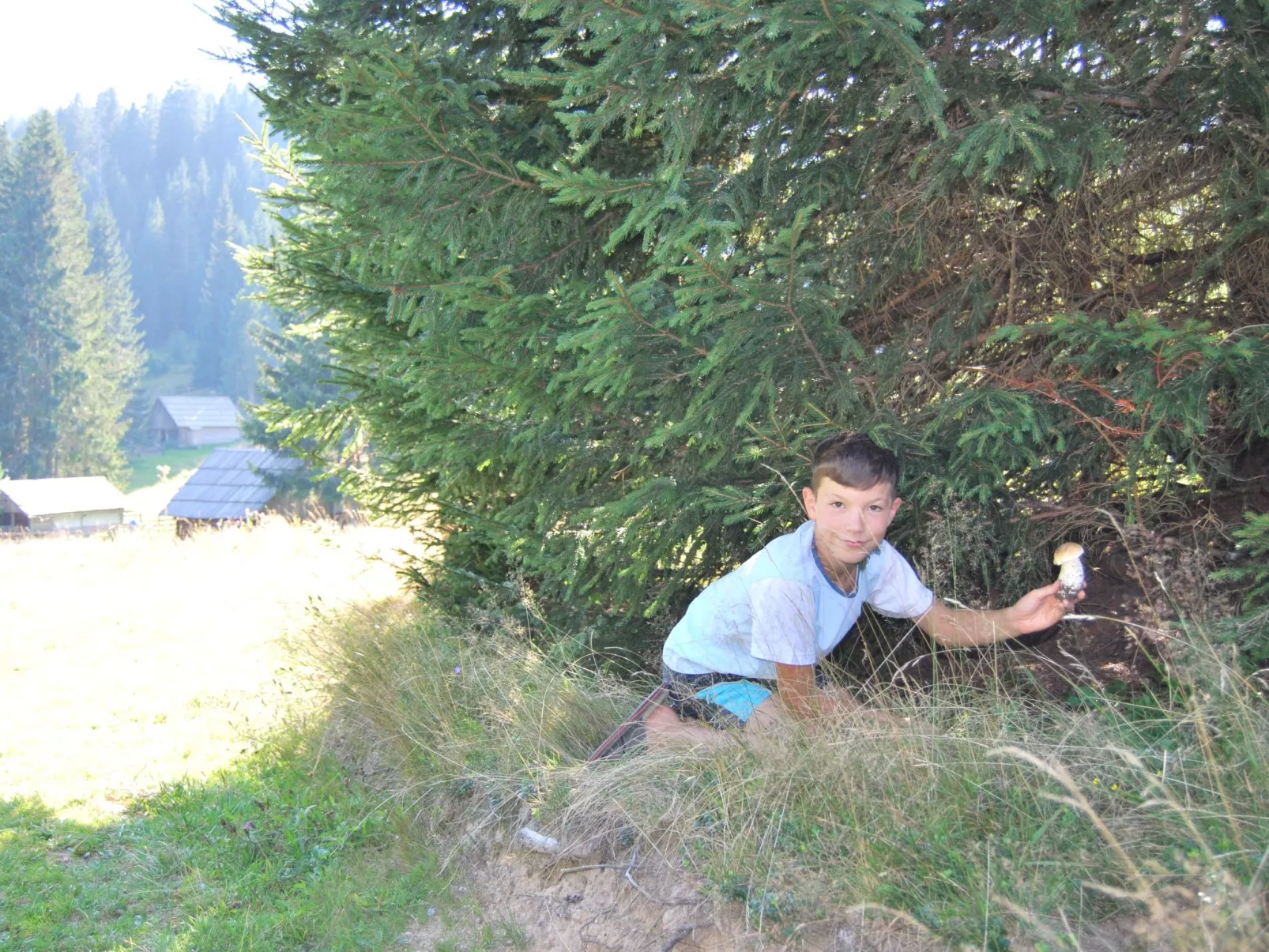 Holiday house Pokljuka - Bohinj-Dehors