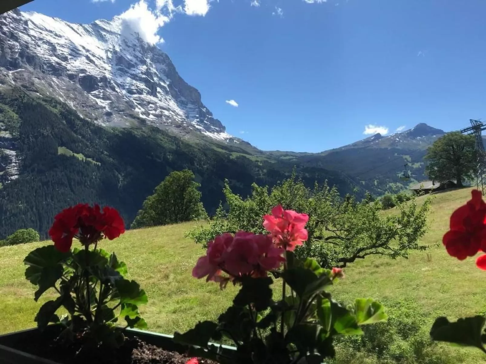 Beim Faulensee 2-Bett Wohnung  1. Stock  West-Image-tags.info