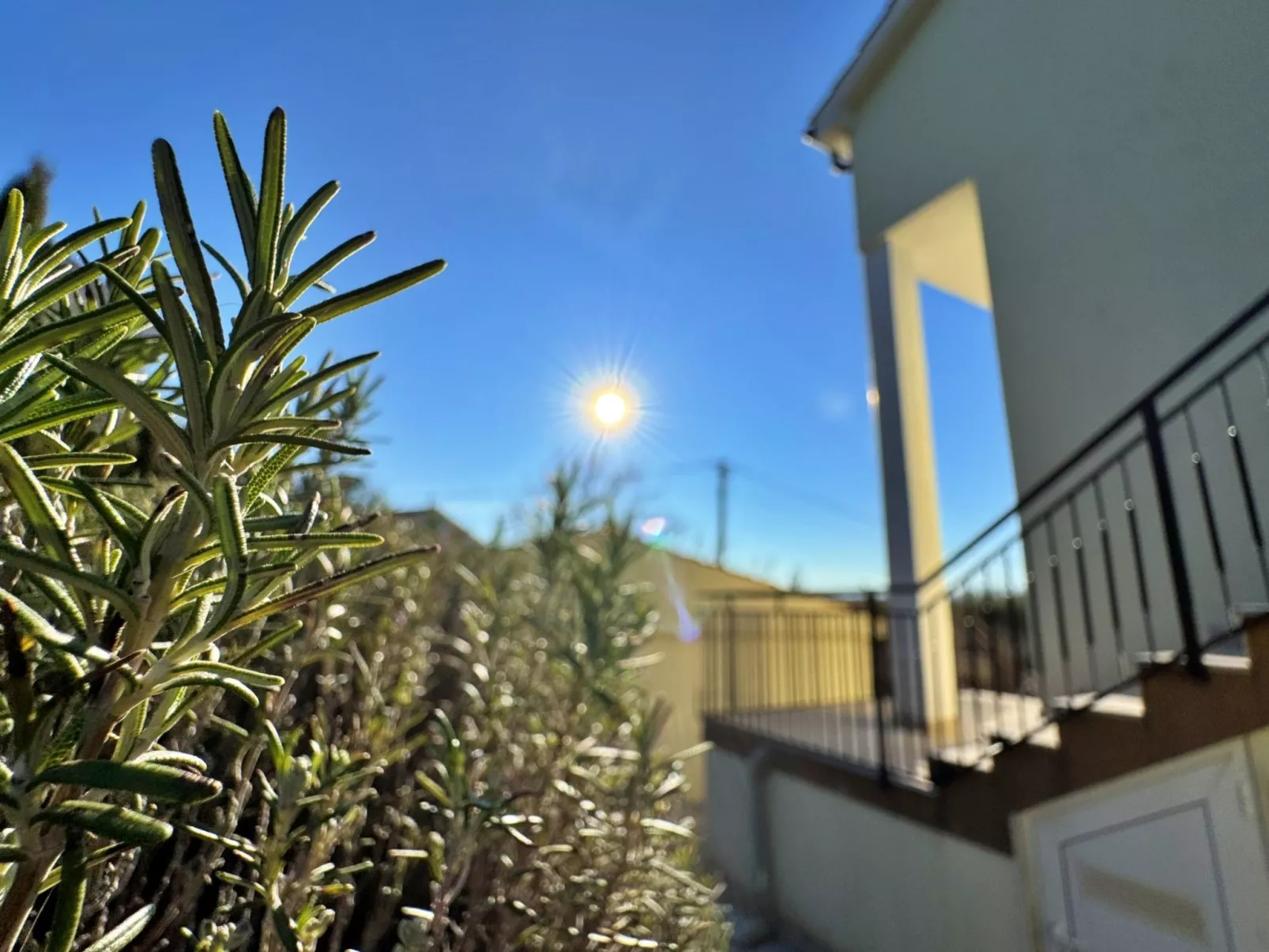 Apartment Pavle-Dehors