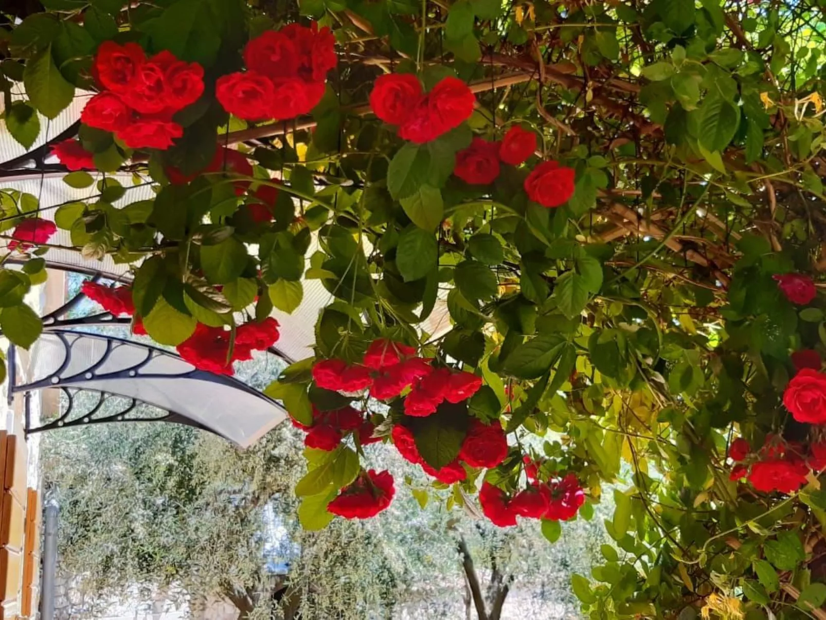 Mit schönem Garten und Sonnenterrasse-Dehors