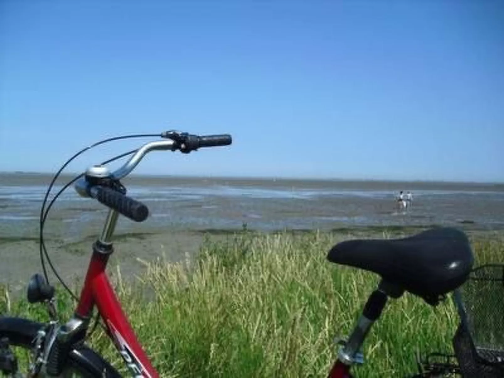 Haus Hanni-Image-tags.info