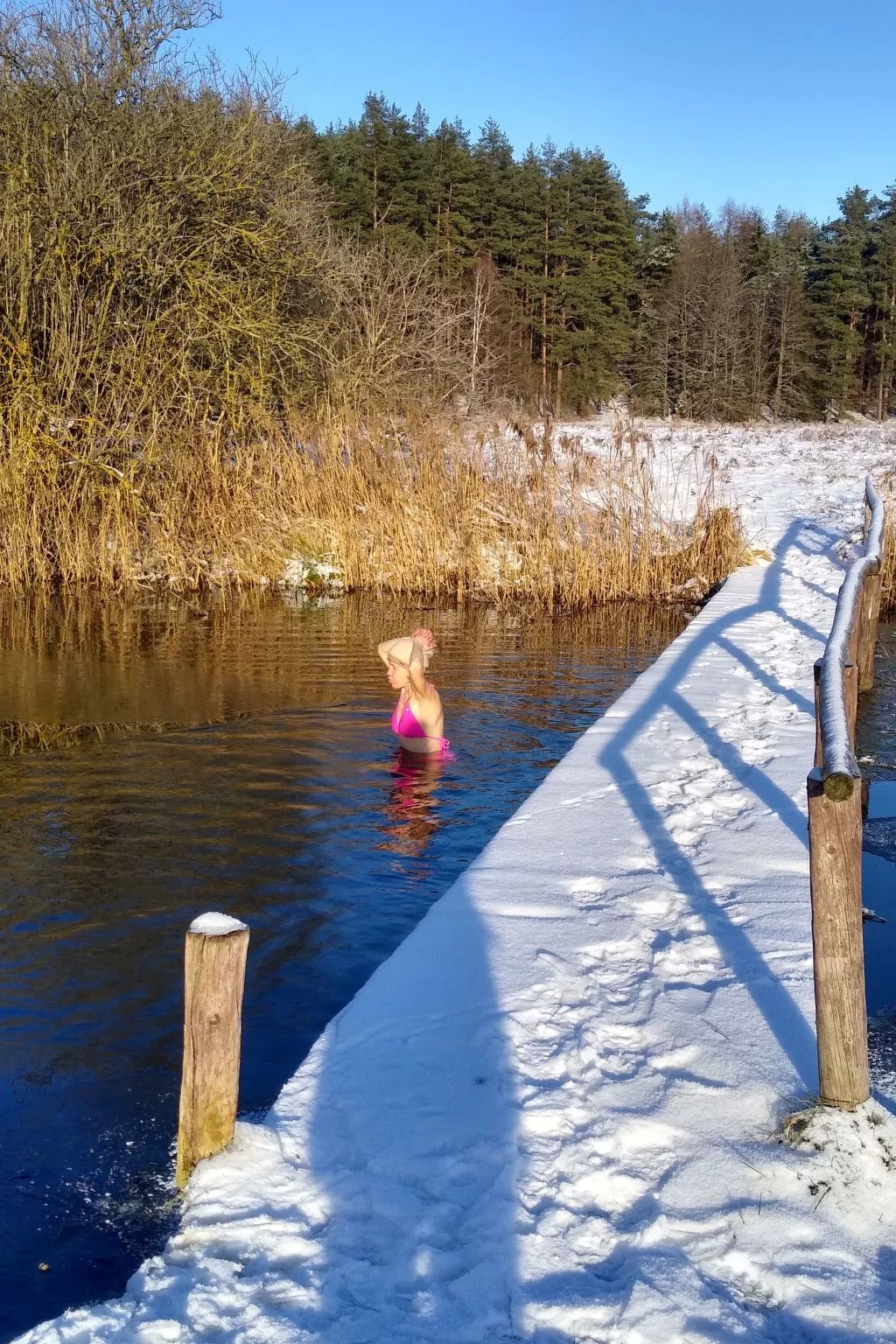 Vogelecke - abseits des Trubels und der Hektik-Image-tags.info