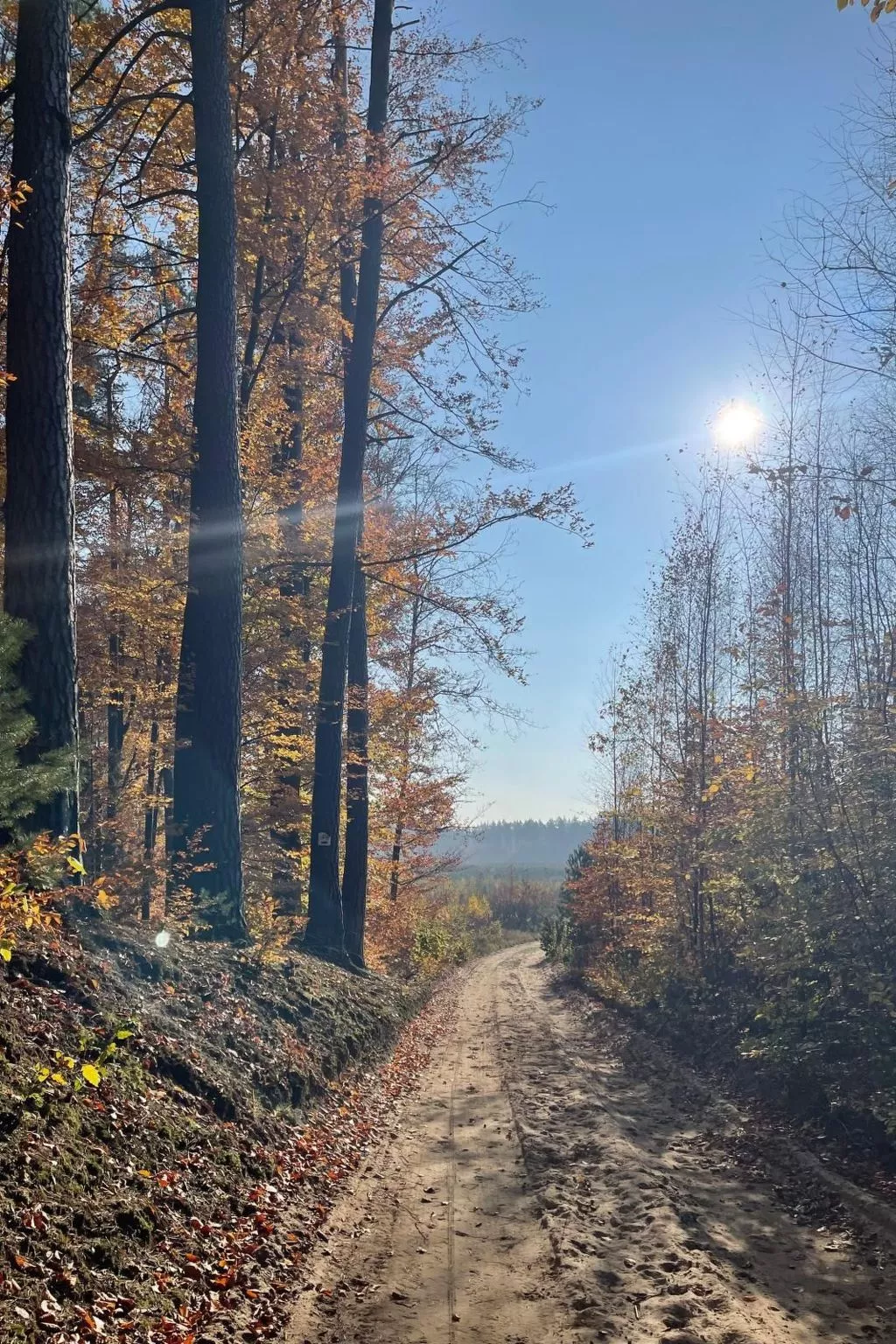 Vogelecke - abseits des Trubels und der Hektik-Draußen