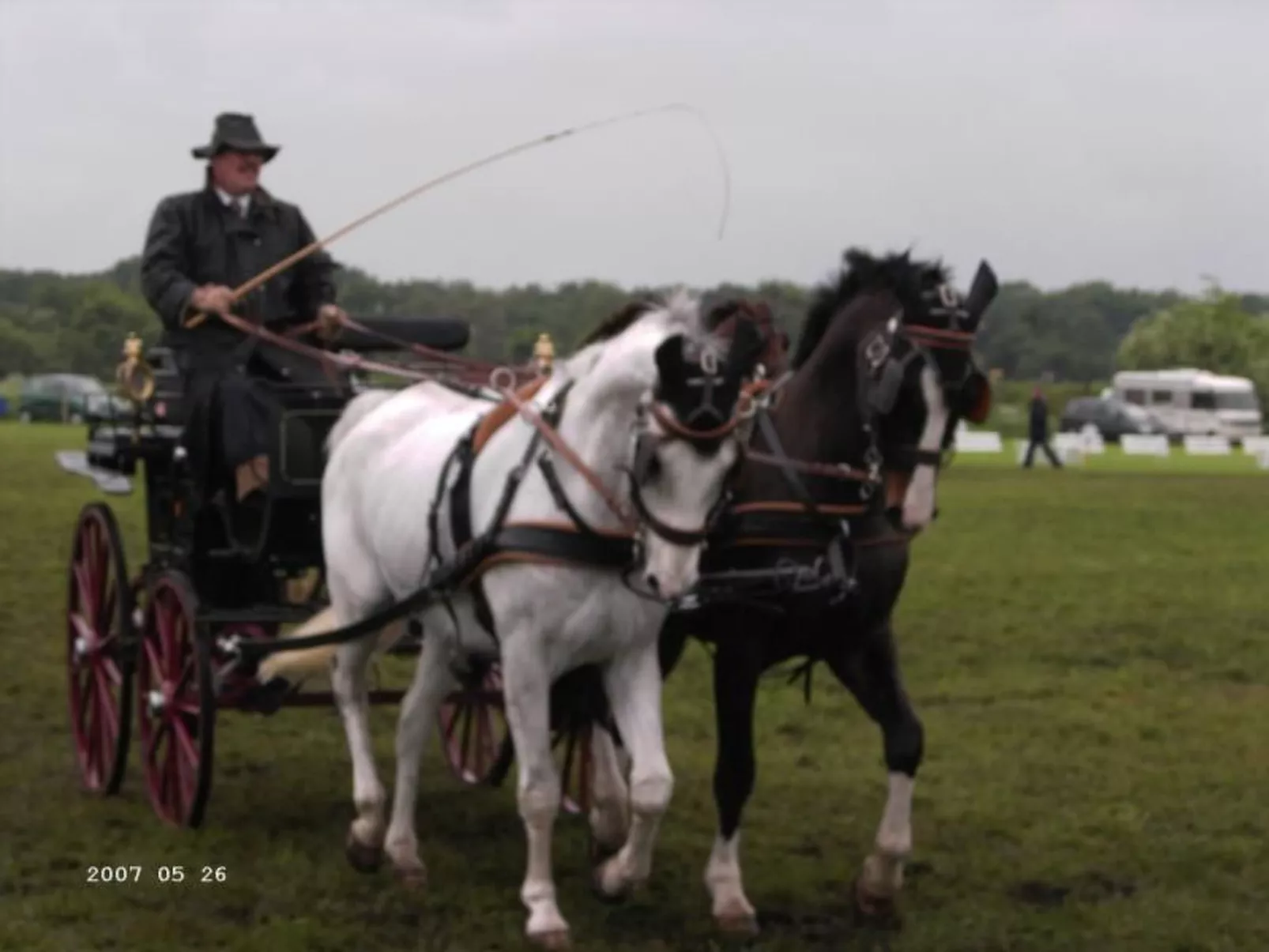 Westrich in guter Ausflugslage-Image-tags.info