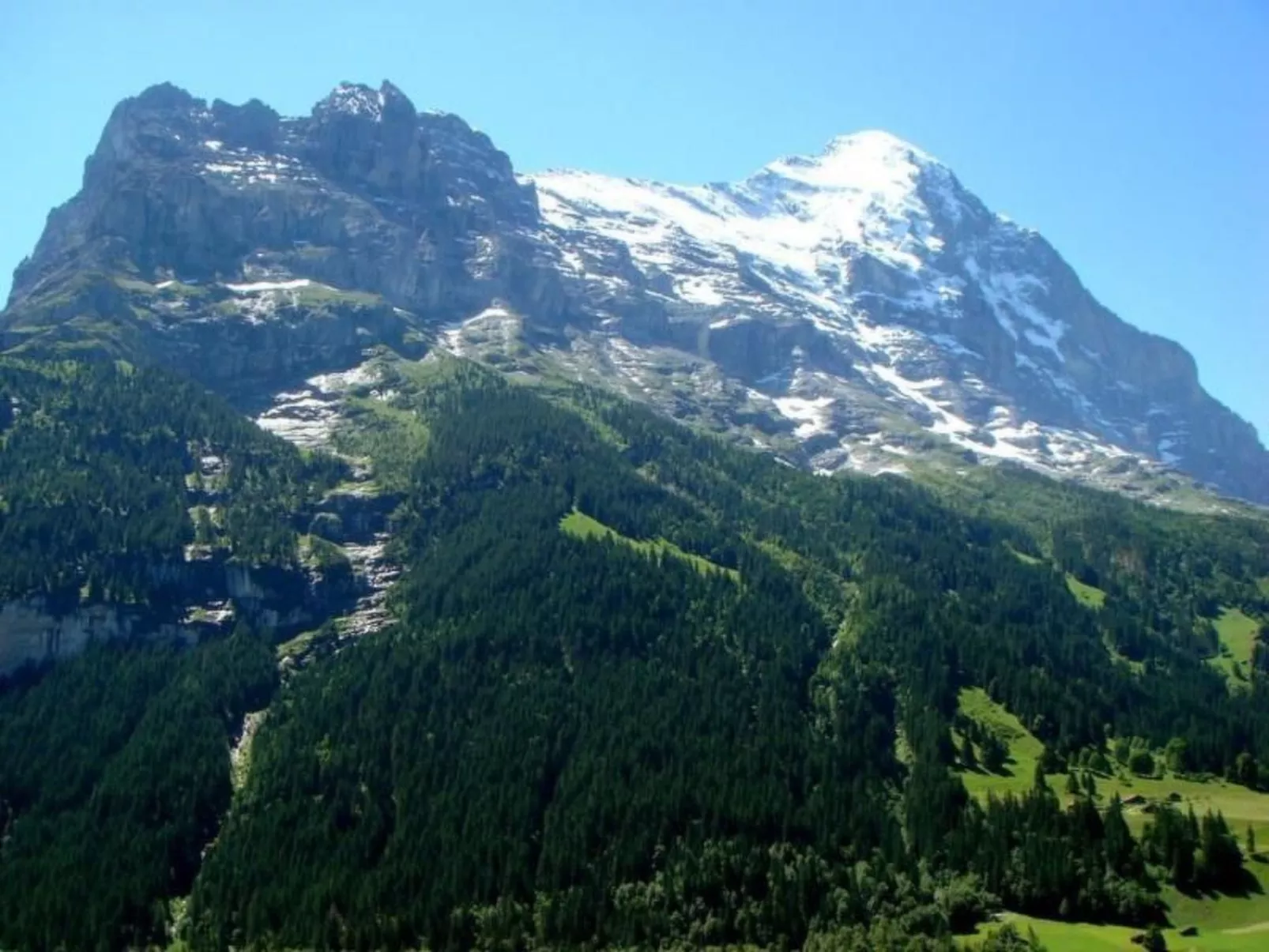 Chessibach Studio-Image-tags.info