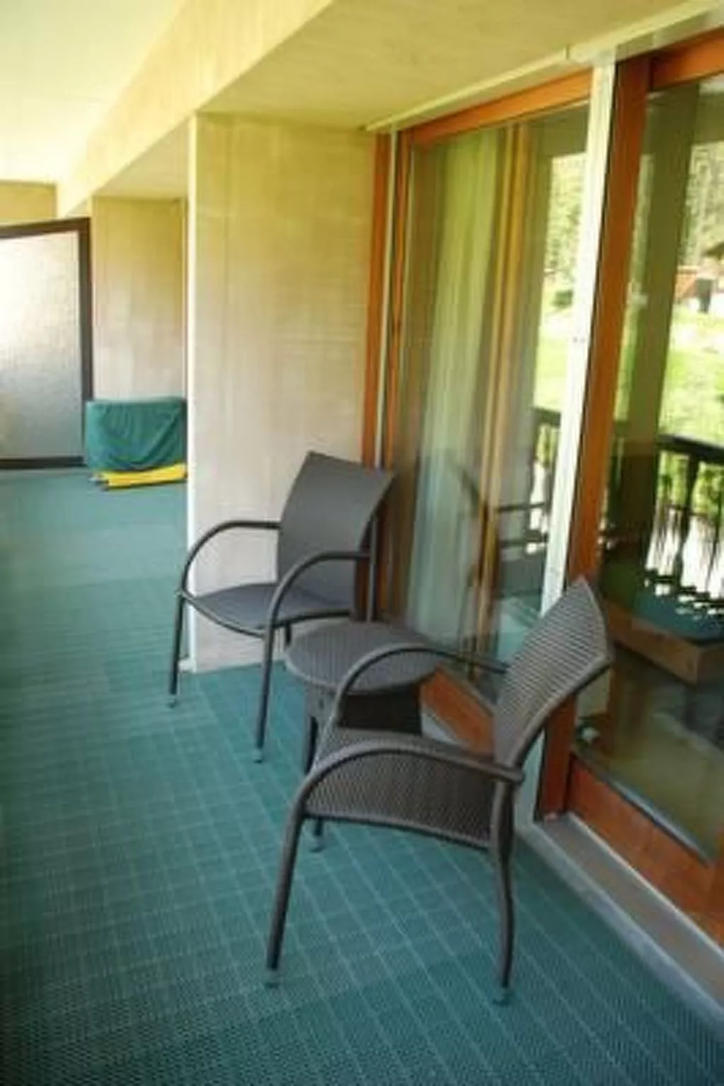 Chesa la Furia WHG 24-Inside