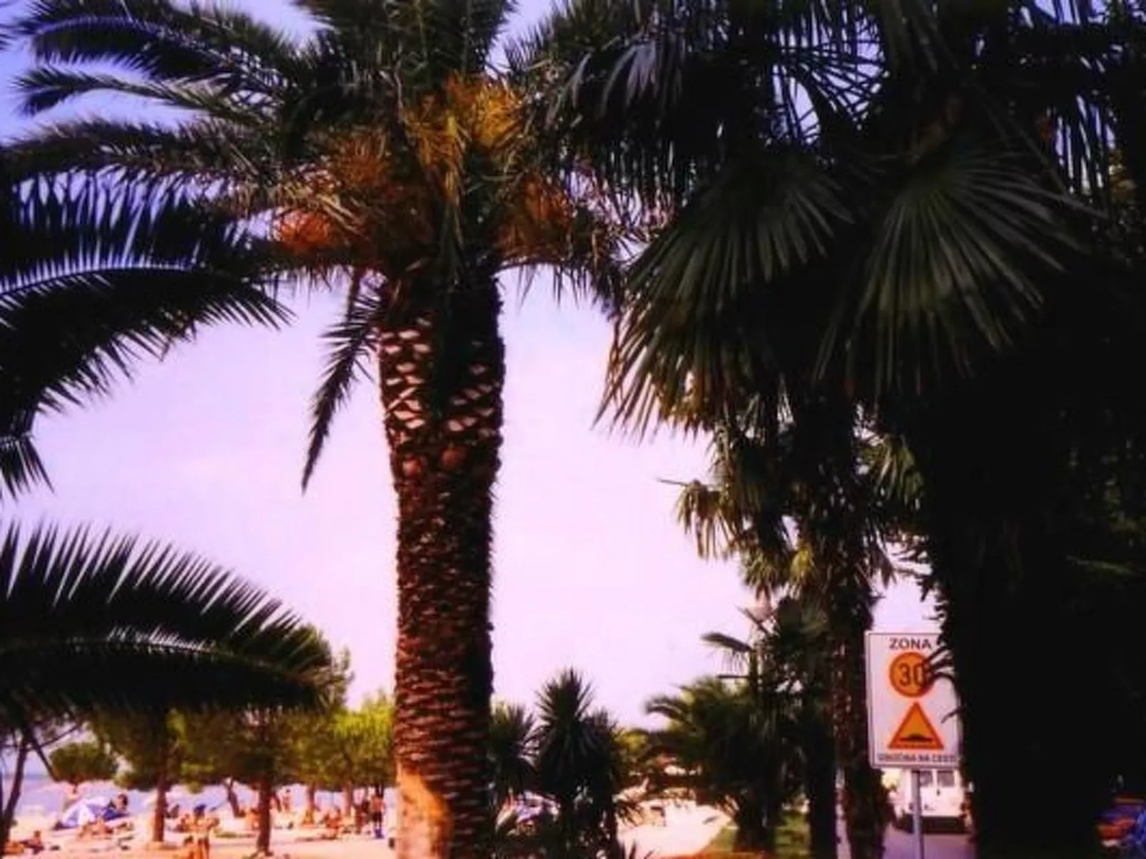 Mit Blick auf das Wasser-Image-tags.info