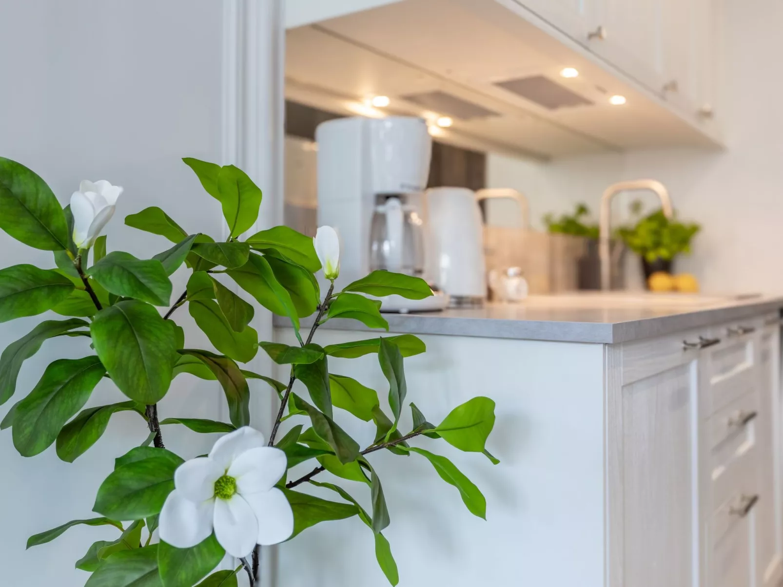 Am Meer, Urlaub auf der Insel Usedom, Apartment 206-Image-tags.info