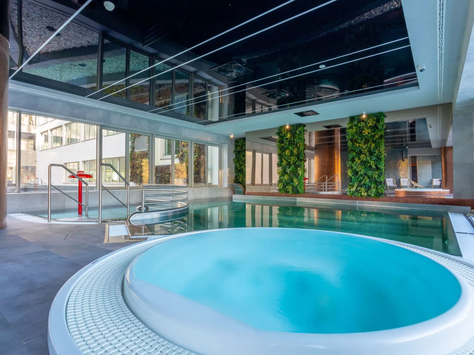 Lividus in Usedom am Meer-Image-tags.info