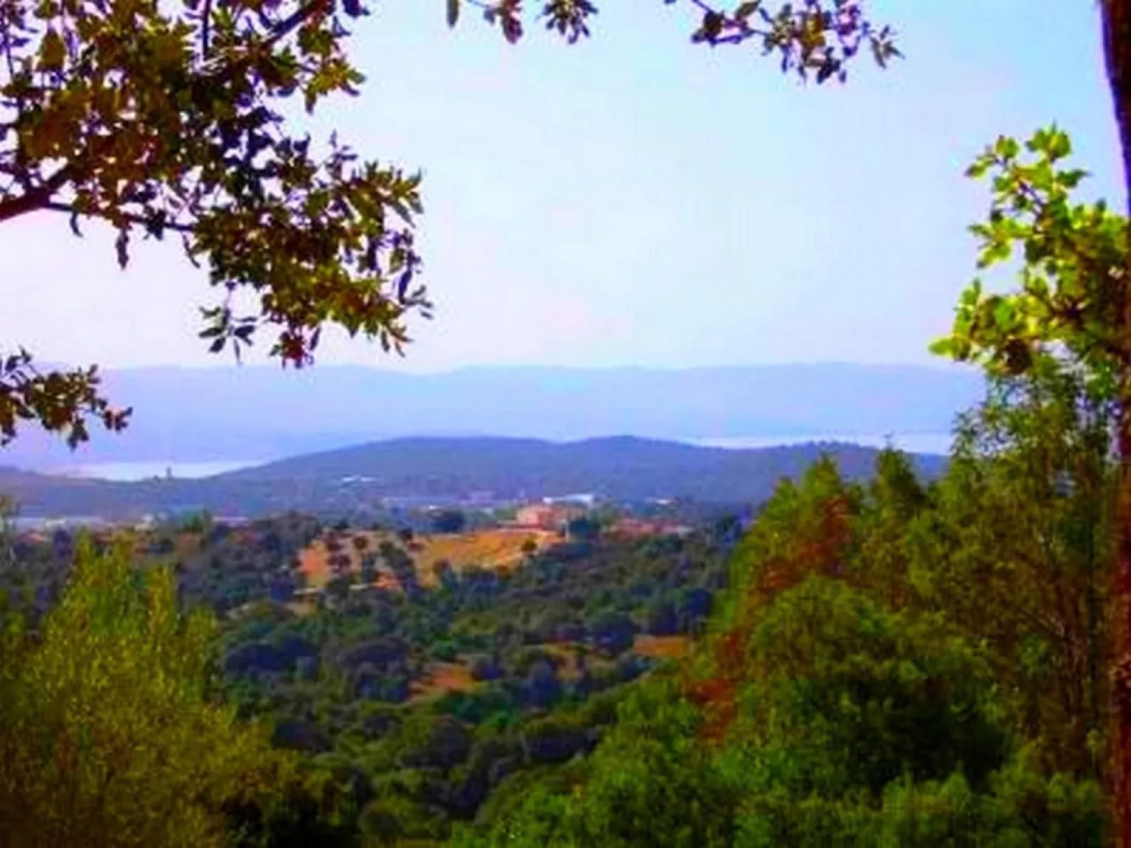 Mit Blick auf das Wasser-Image-tags.info