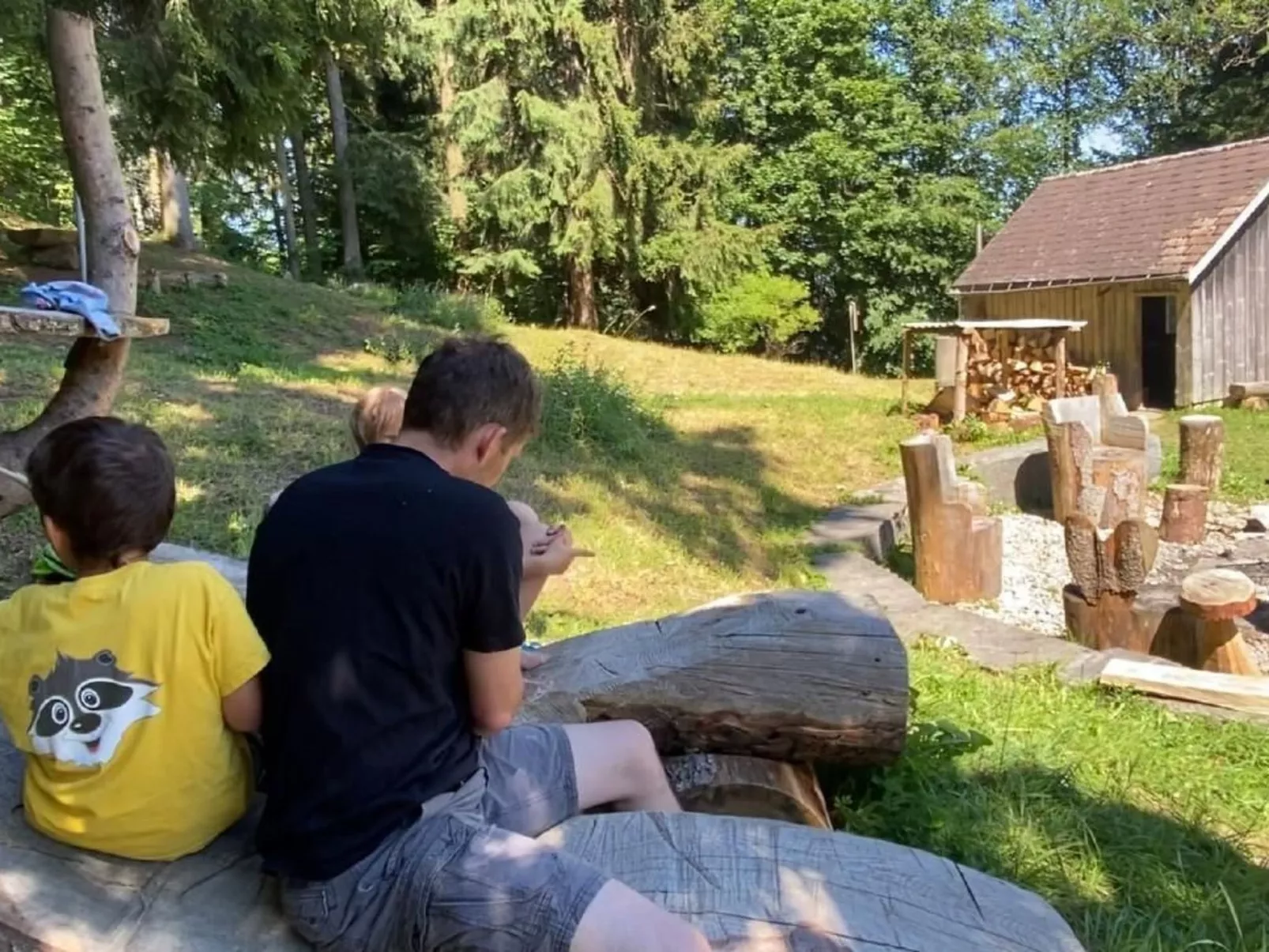 Alpakahof Ferien-Dehors