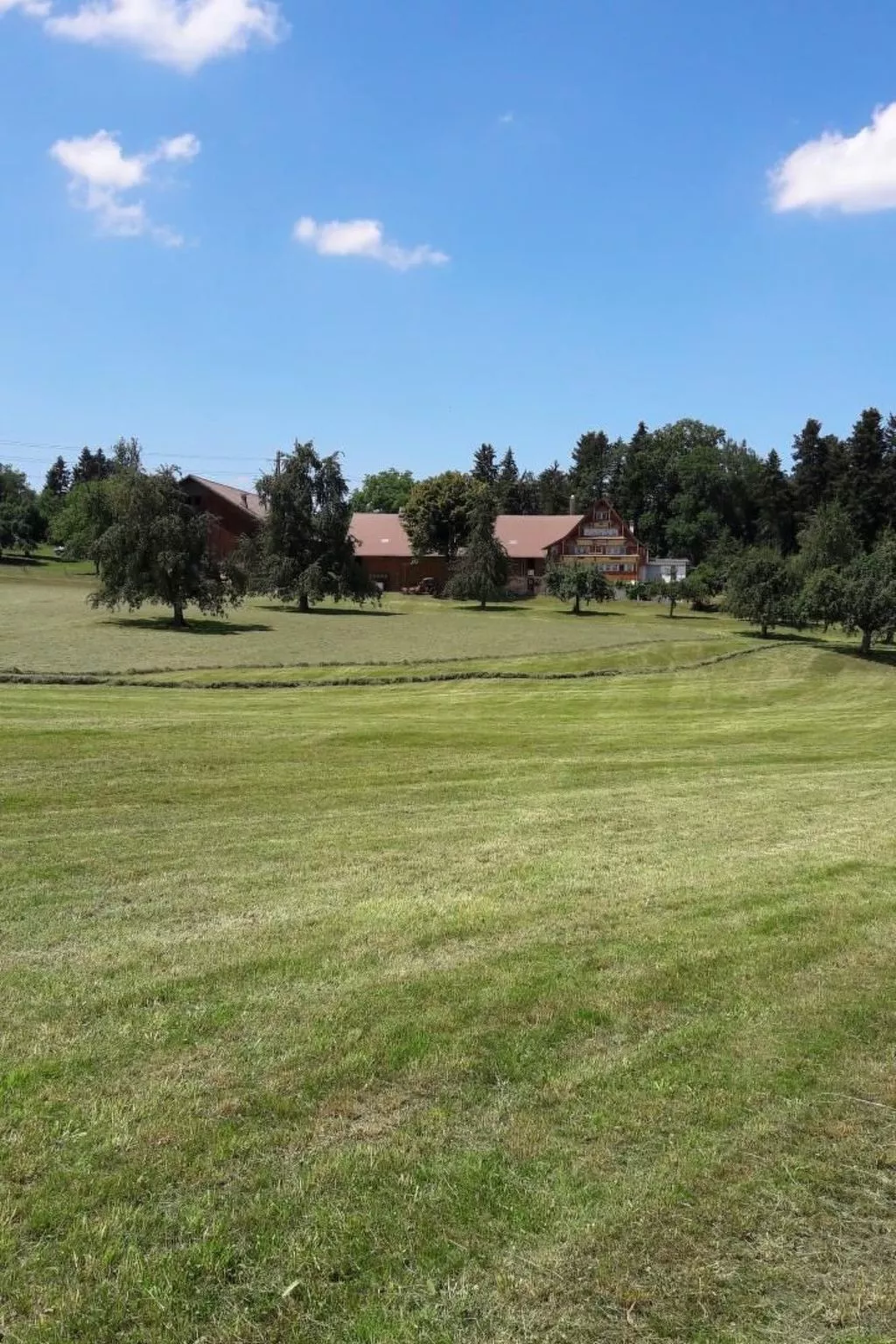 Auf dem Bauernhof-Dehors