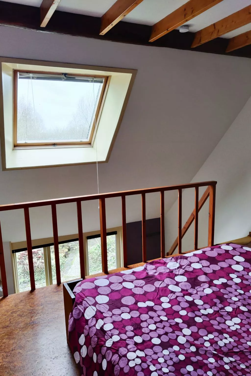 Appartement in Leeuwarden mit Privater Terrasse-Drinnen