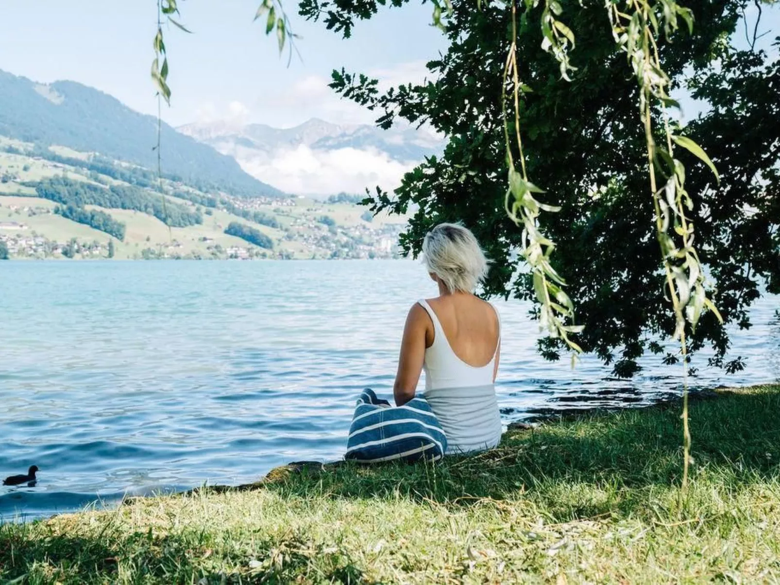 Verena's B&B-Image-tags.info