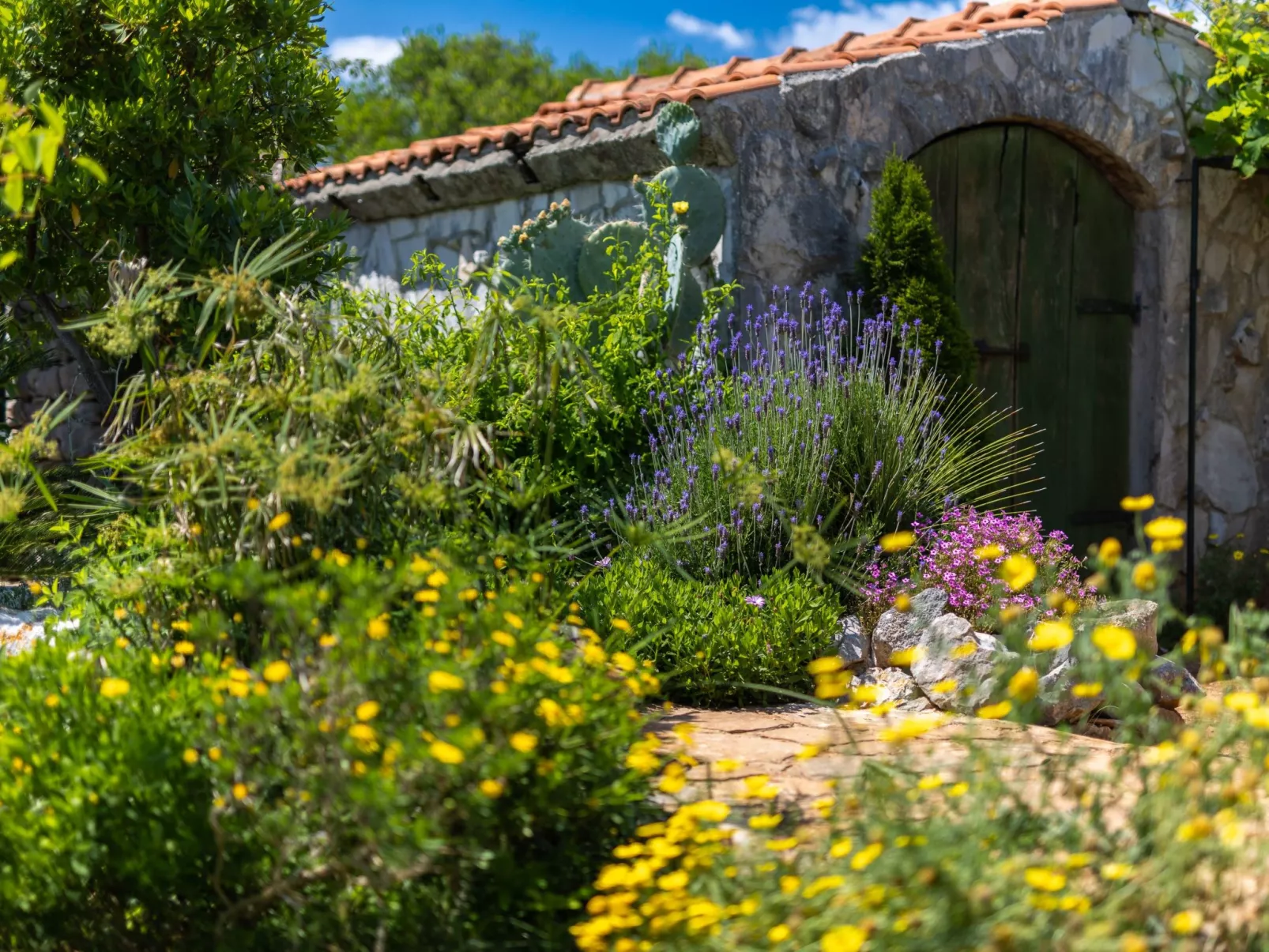 In Rudina mit Privatem Pool-Draußen