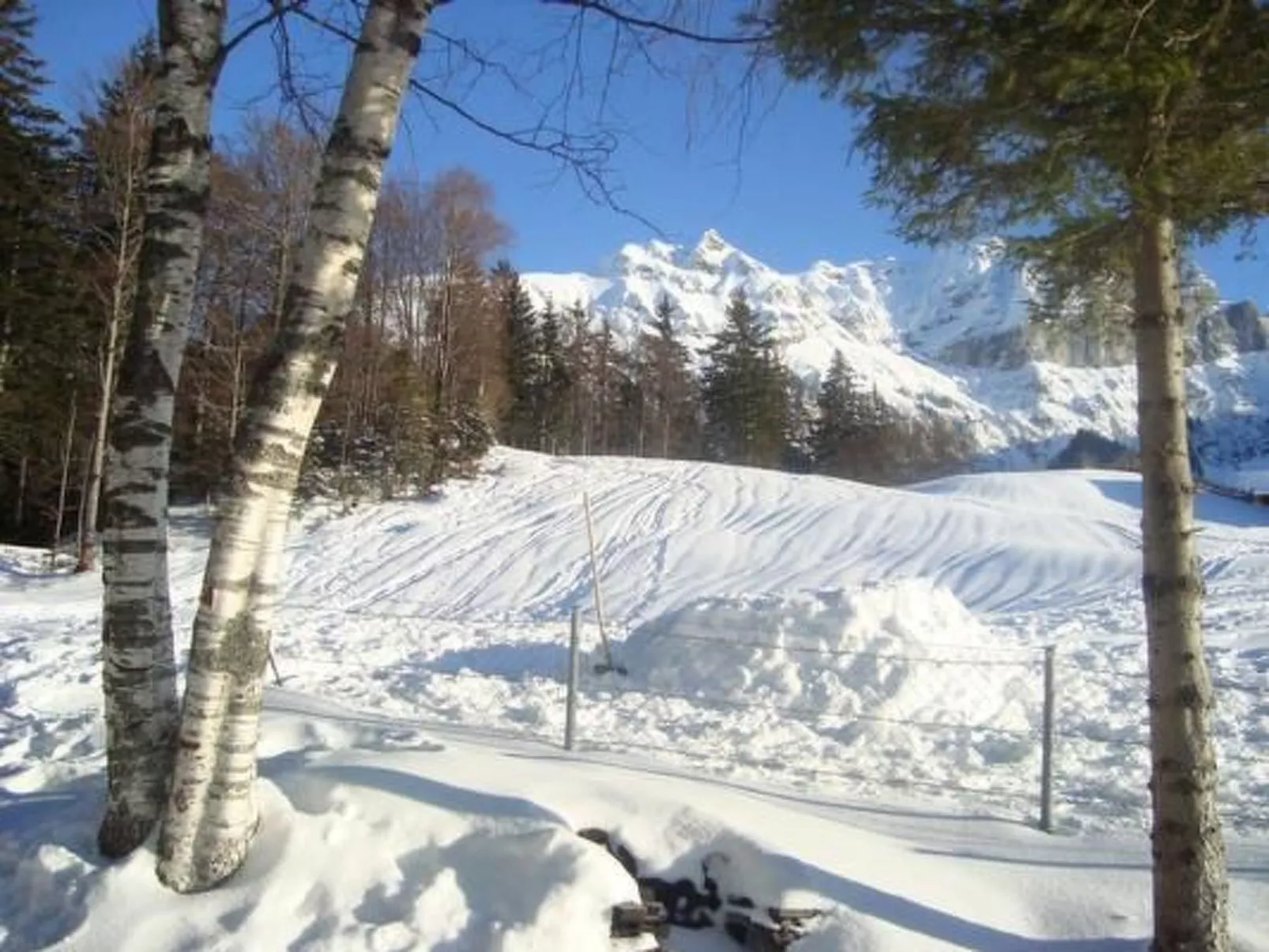 Ferien im grünen links-Dehors