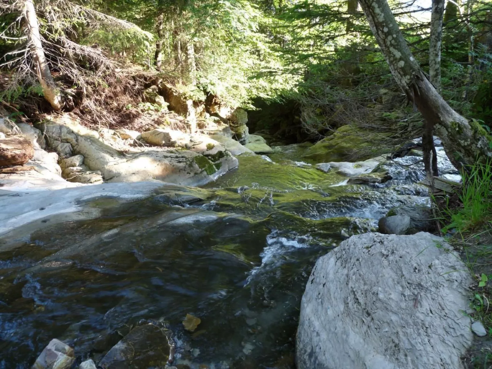 Bauernhof obere Fraumatt-Draußen