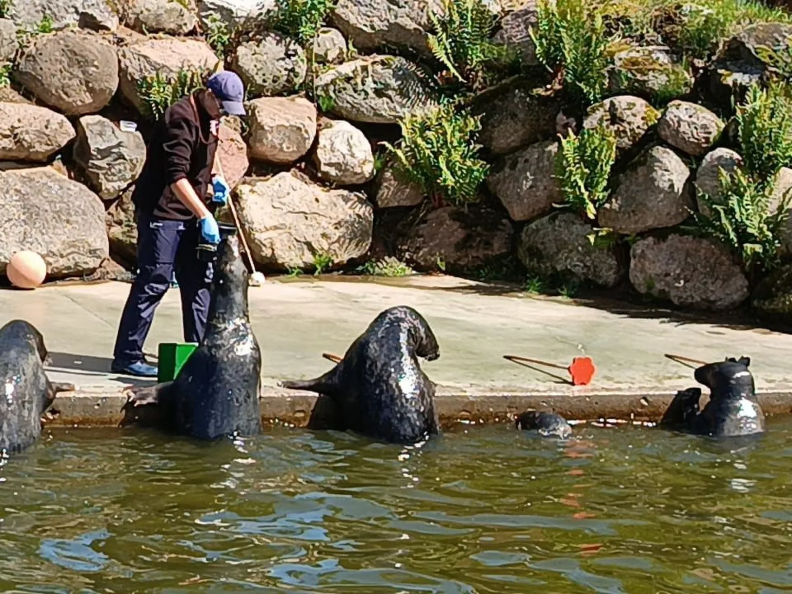 Sunny Baltic 2-Drinnen