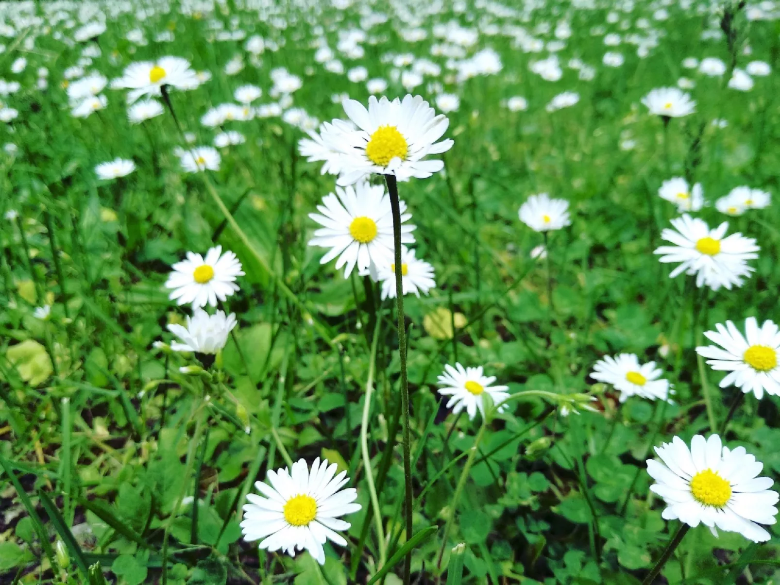 Fichtelzauber mit Sauna-Dehors