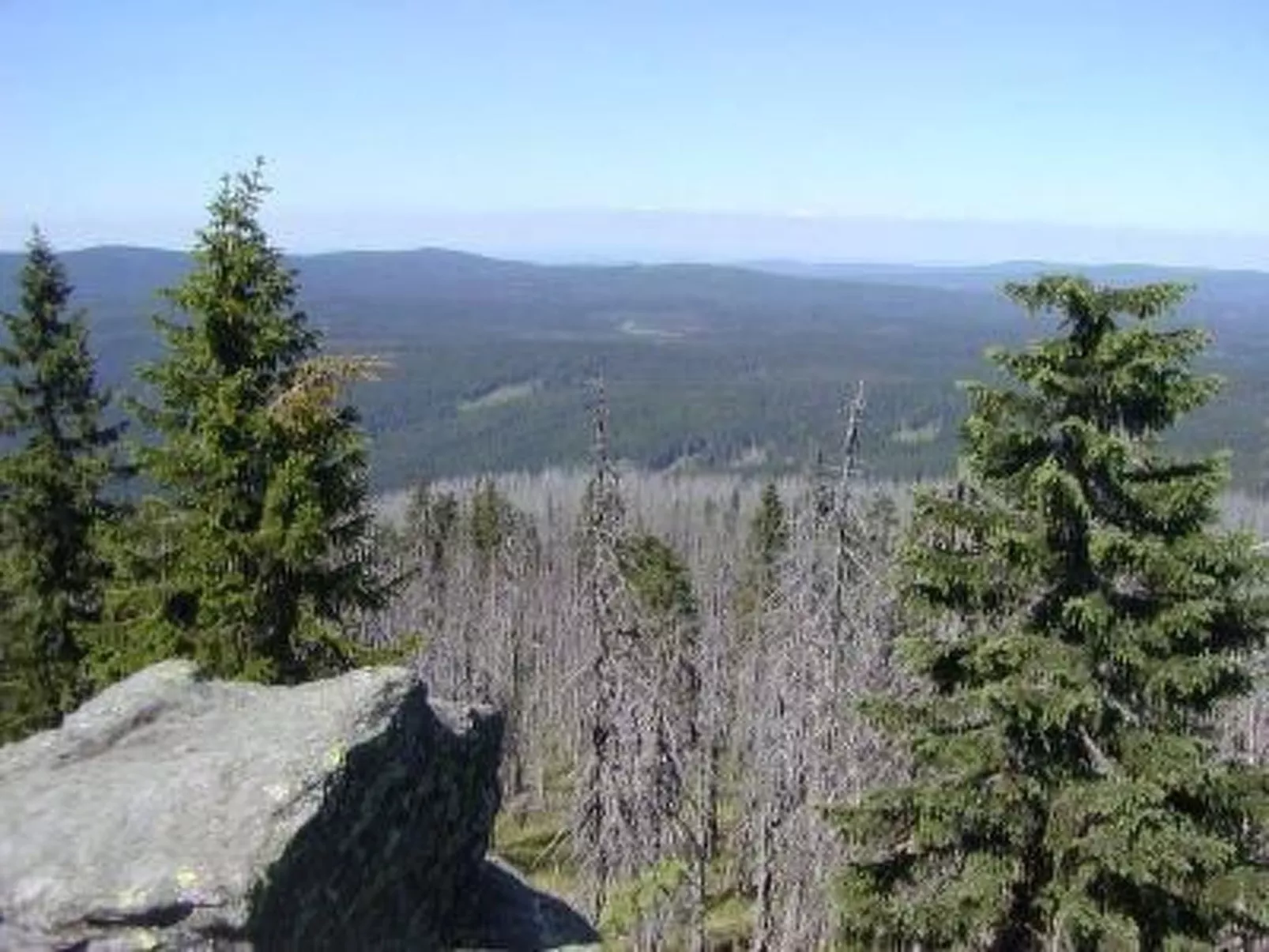 Tamara in Eppenschlag-Image-tags.info