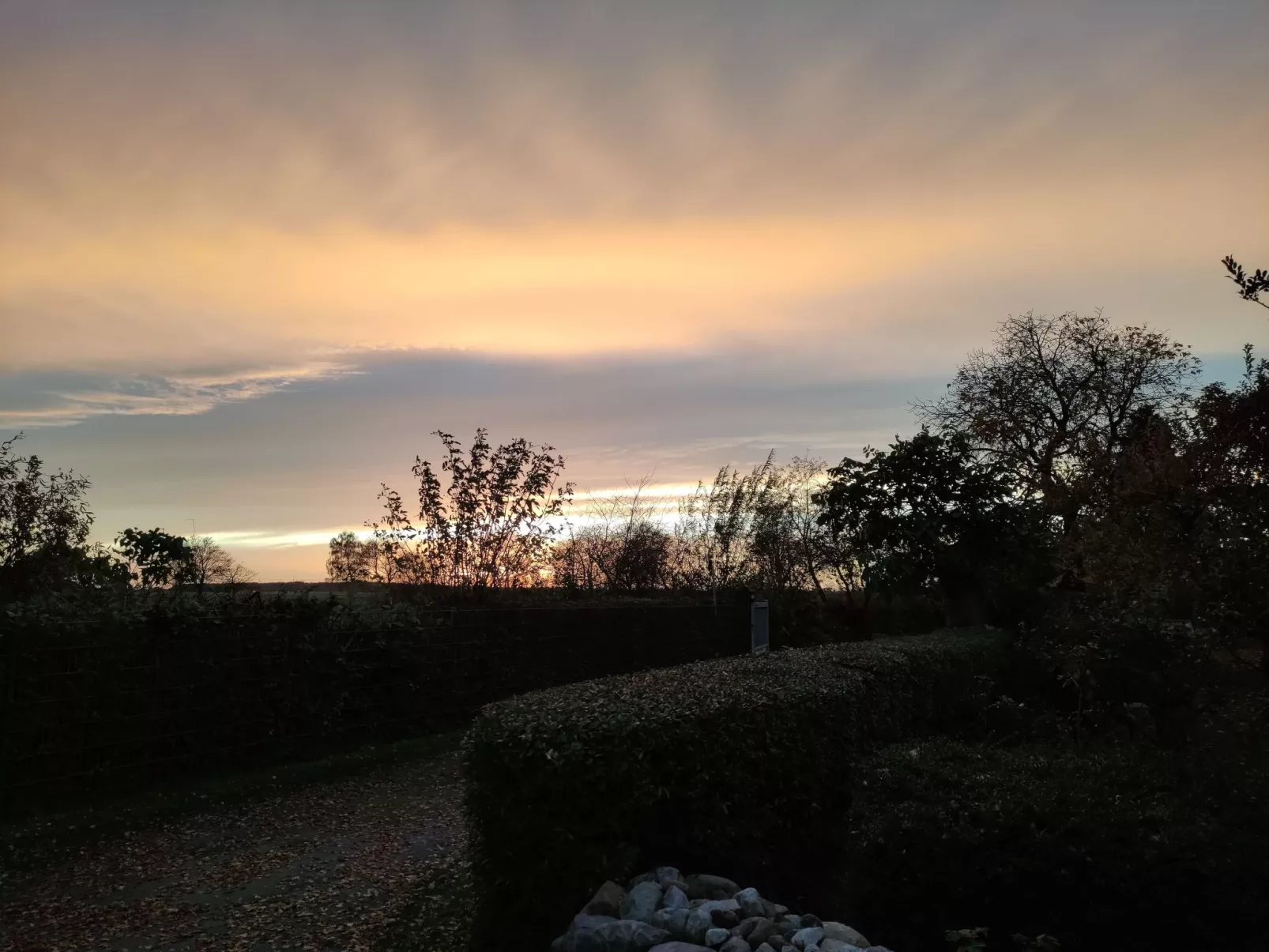 Janet Ratschkowski-Draußen