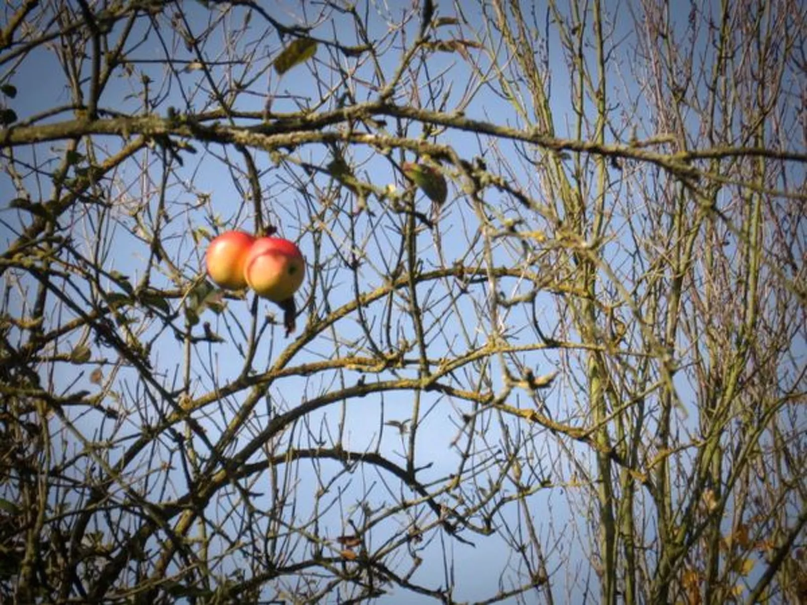 Mit Terrasse-Outside