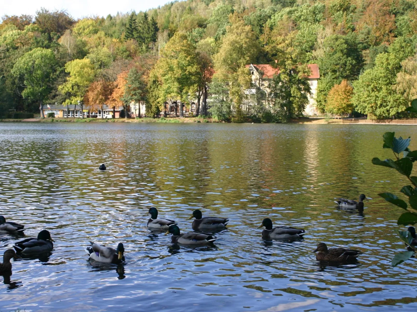 Kleine, gemütliche Ferienwohnung im Erholungsort-Draußen