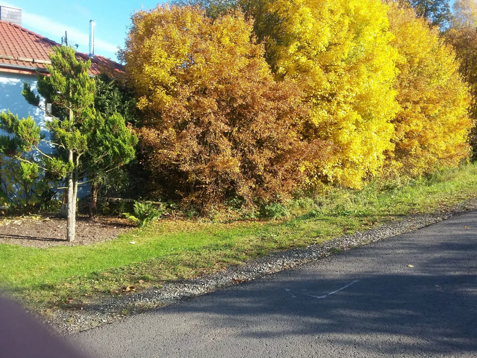 Gemütliches Ferienhaus in Fischbach Rhön-Outside