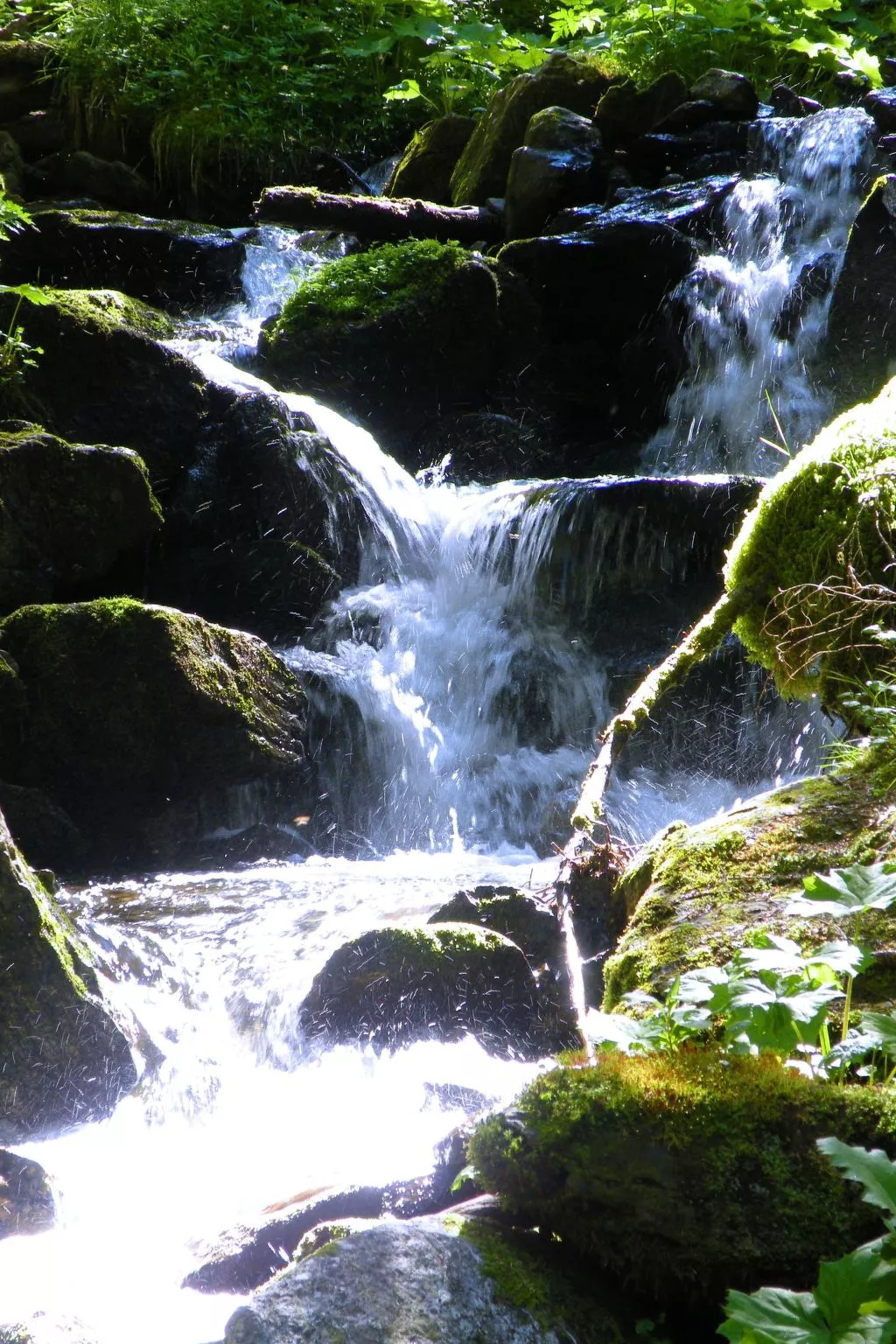 Modernes Ferienhaus in Granitzen mit Grill-Dehors