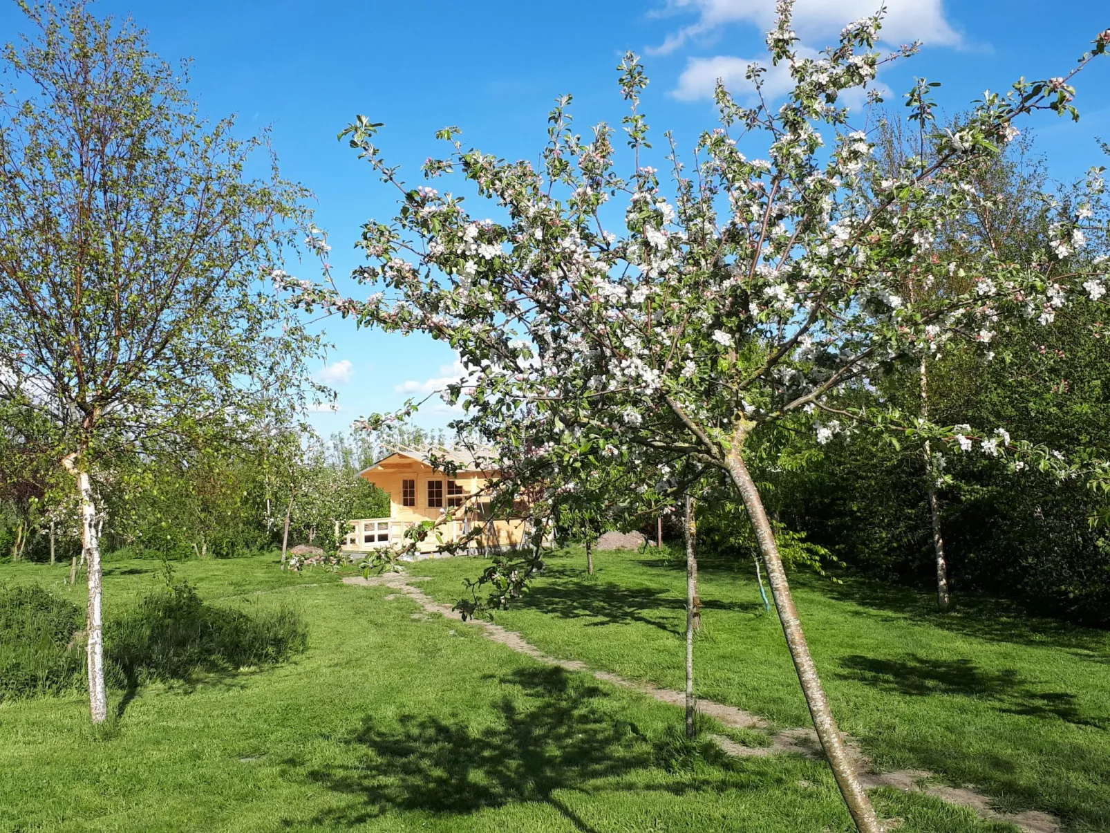 Sonnige Ferienwohnung in ländlicher Umgebung-Outside