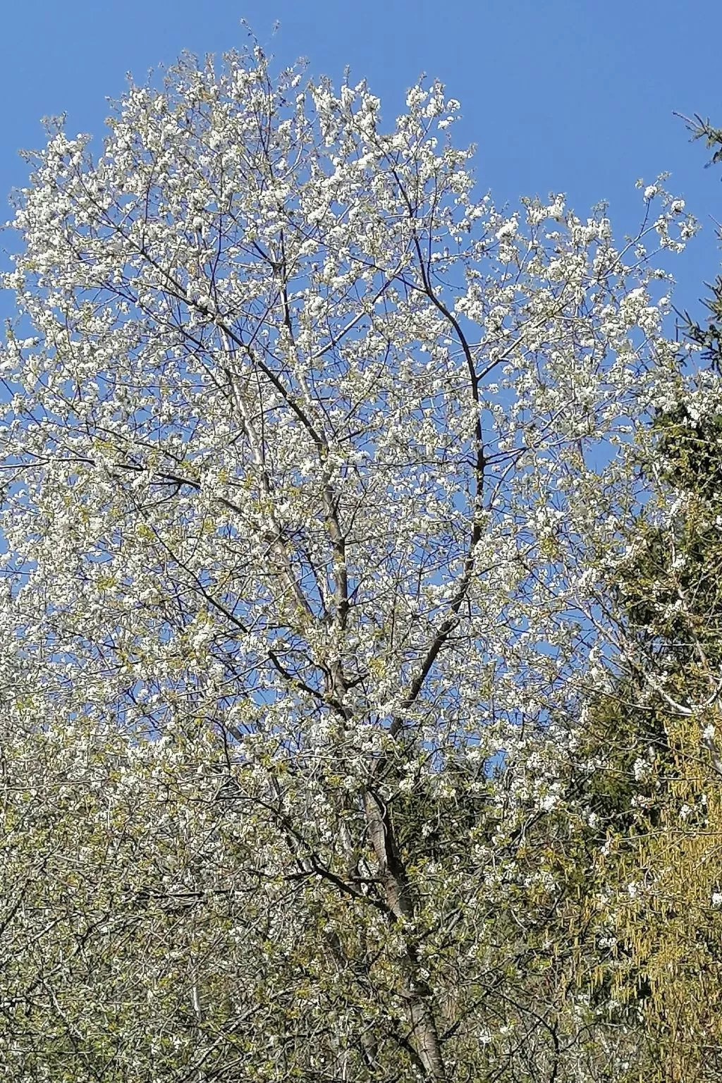 Riedbach in Mutters-Outside