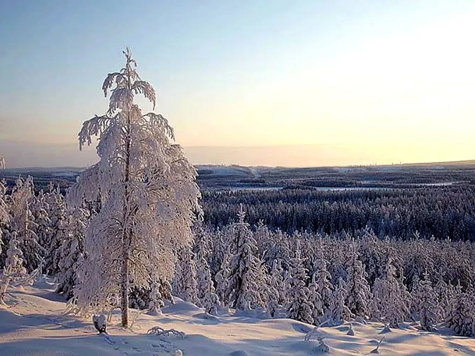 Am Wald mit Kaminofen und Veranda-Draußen