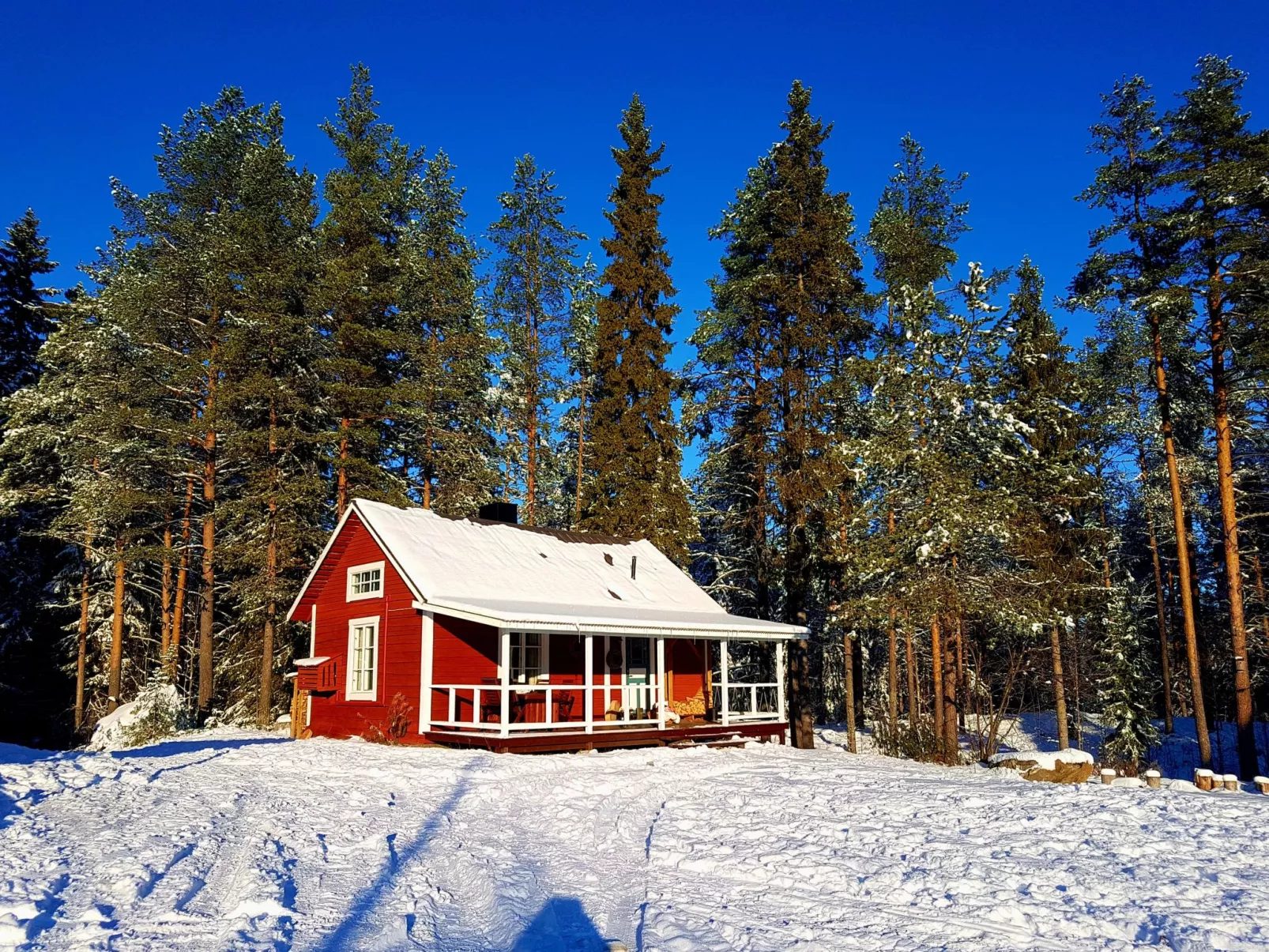 Charmantes Ferienhaus in der Wildnis Lapplands-Dehors