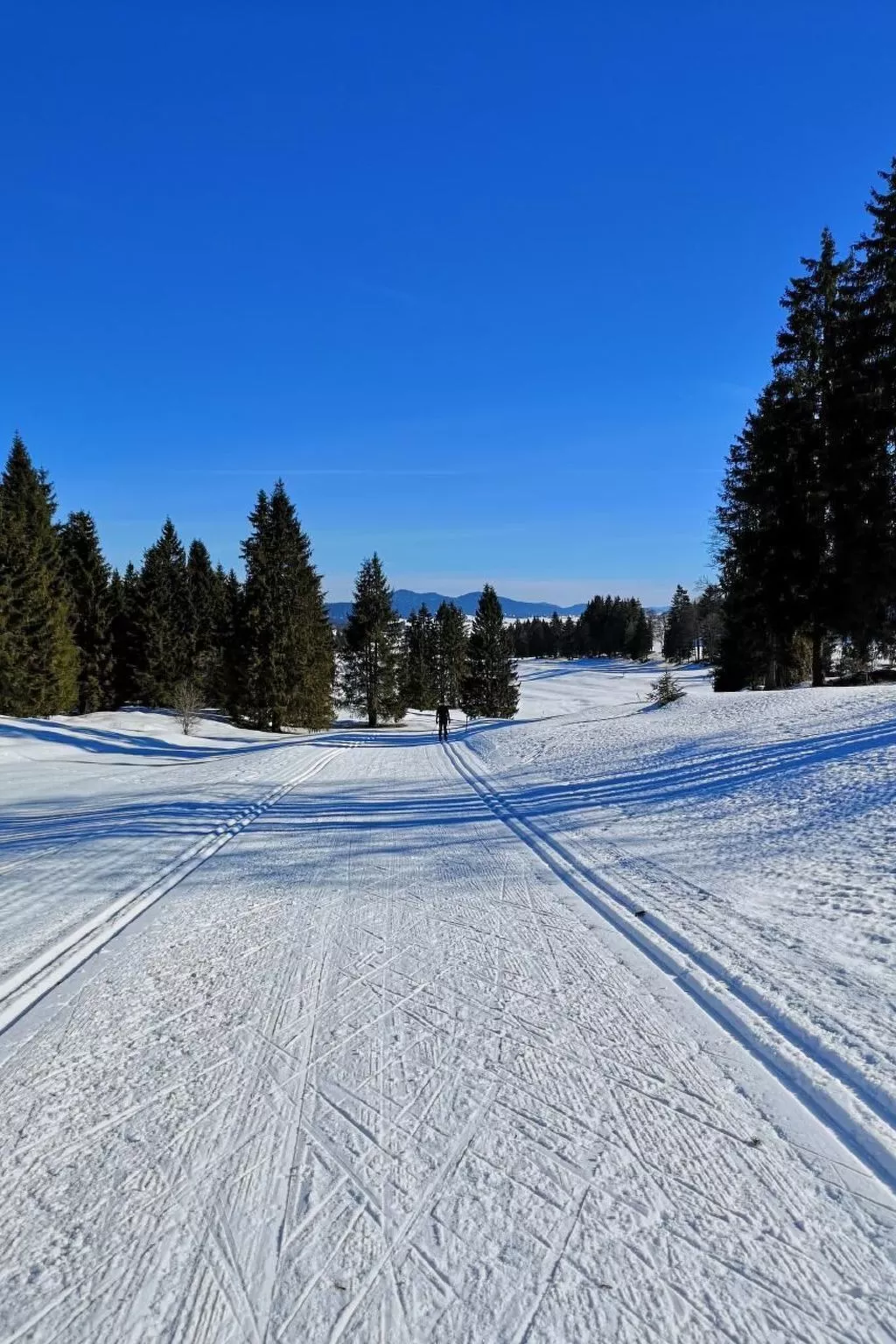 Wohnung in altem, renoviertem Bauernhaus-Draußen