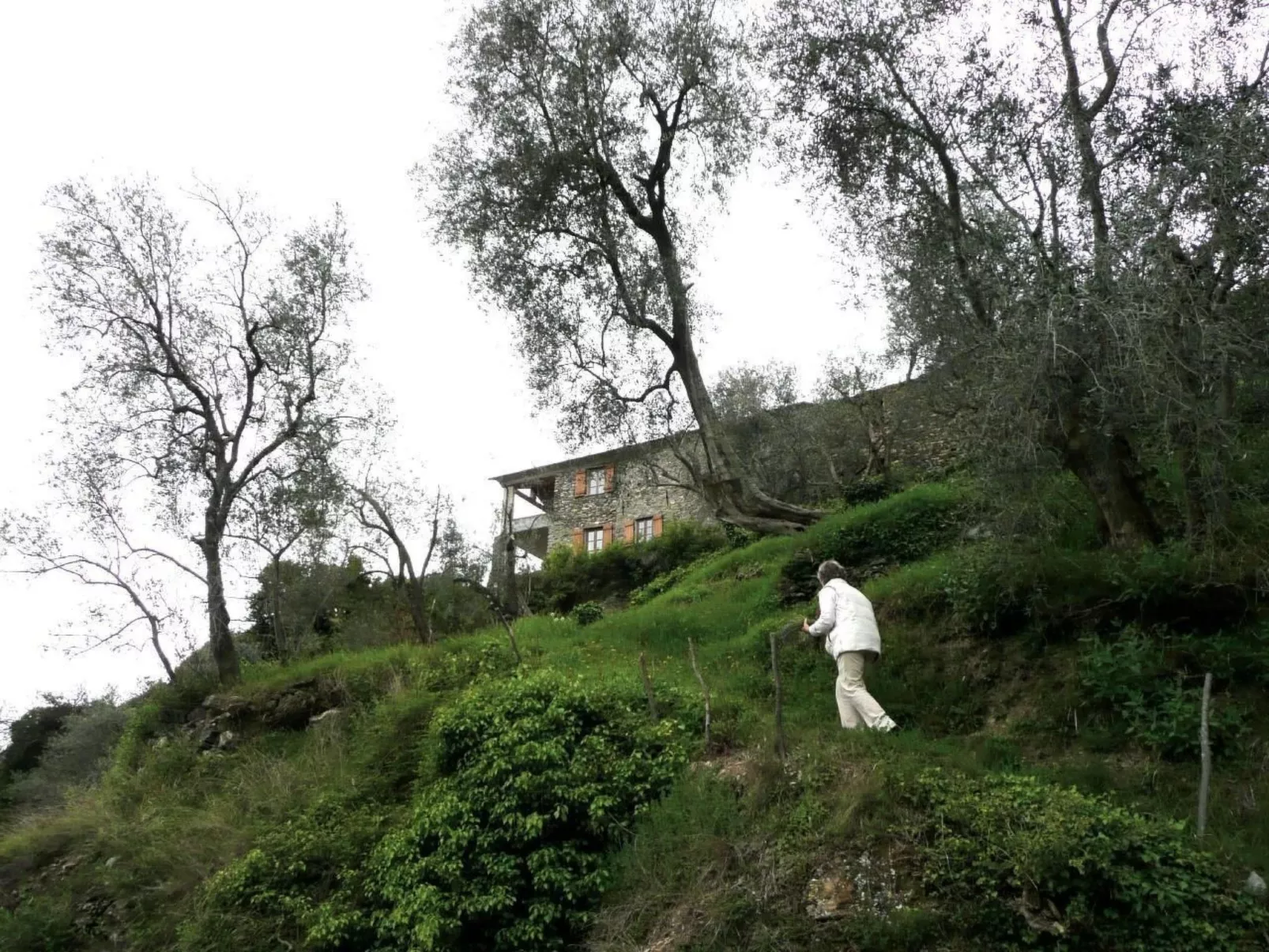 CASA SISSI, Sehnsuchtsort zwischen Olivenhainen-Outside