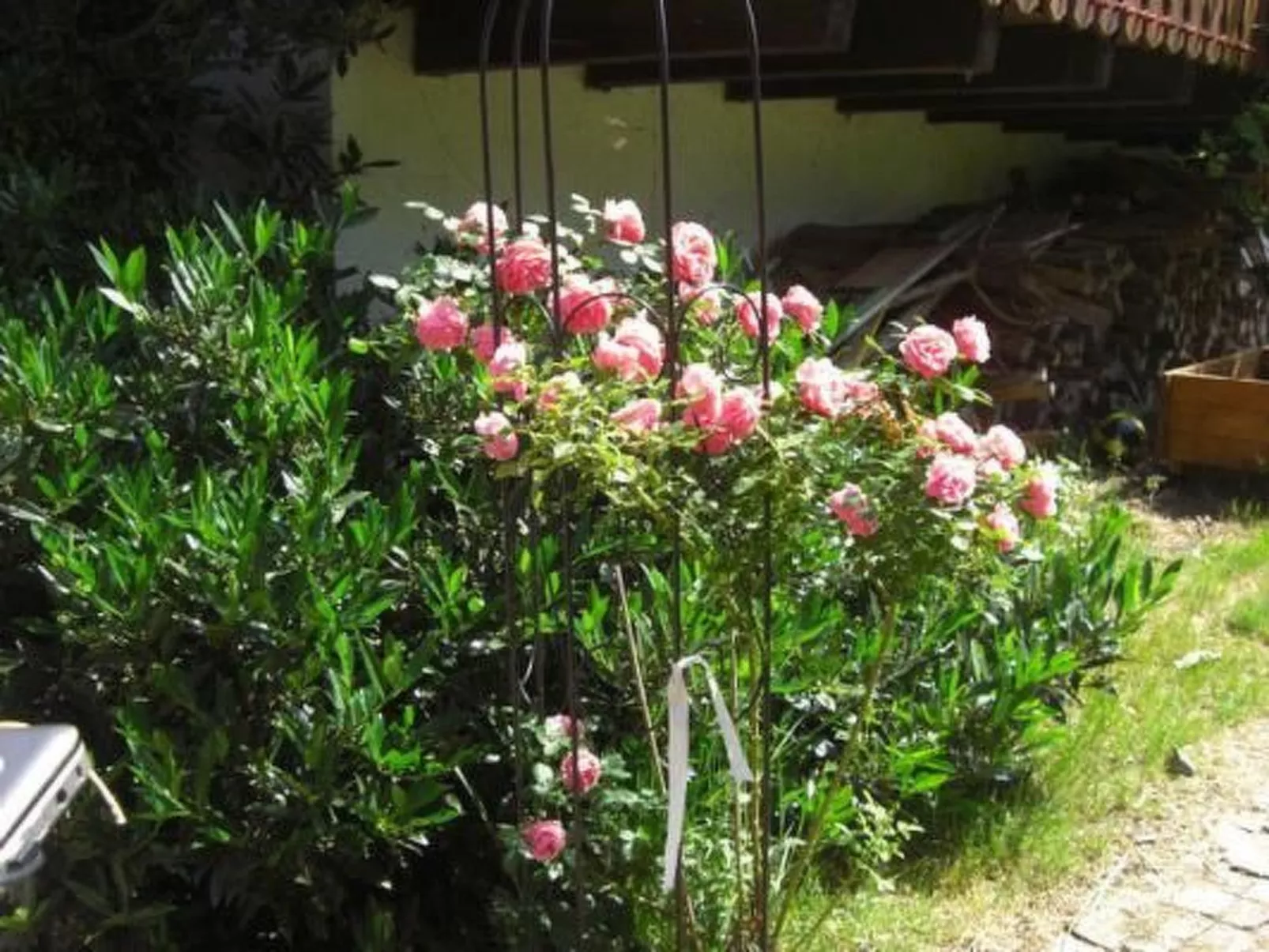 Wohnung "Himmelreich"-Draußen