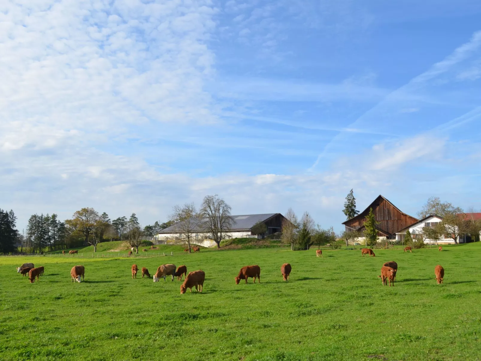 Wohnung "Rustique"-Draußen