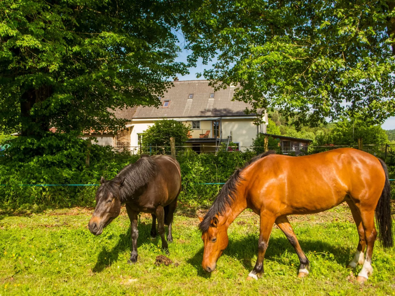 Leben "Im Herzen der Farm"-Draußen
