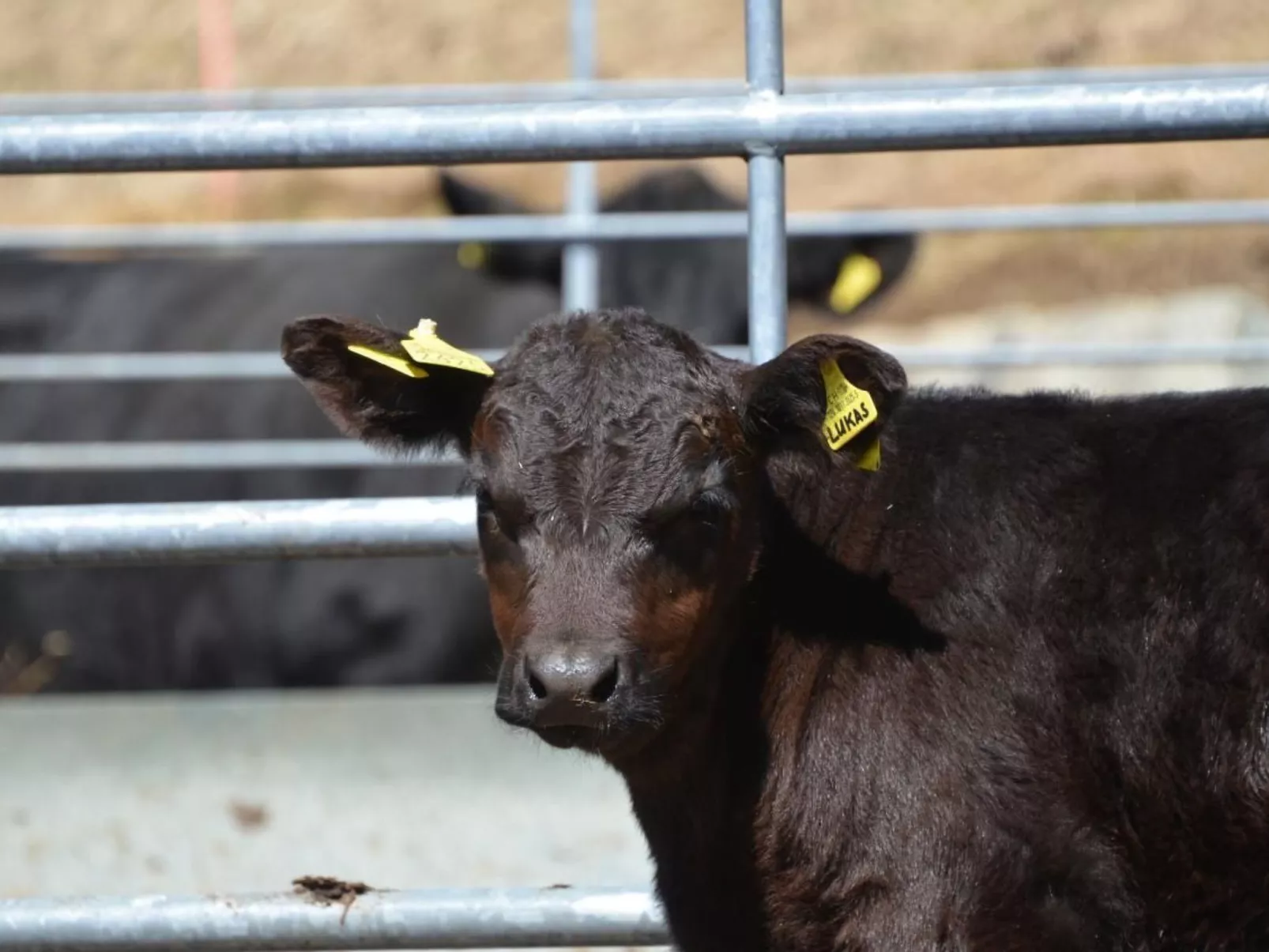 Biohof Furn-Image-tags.info