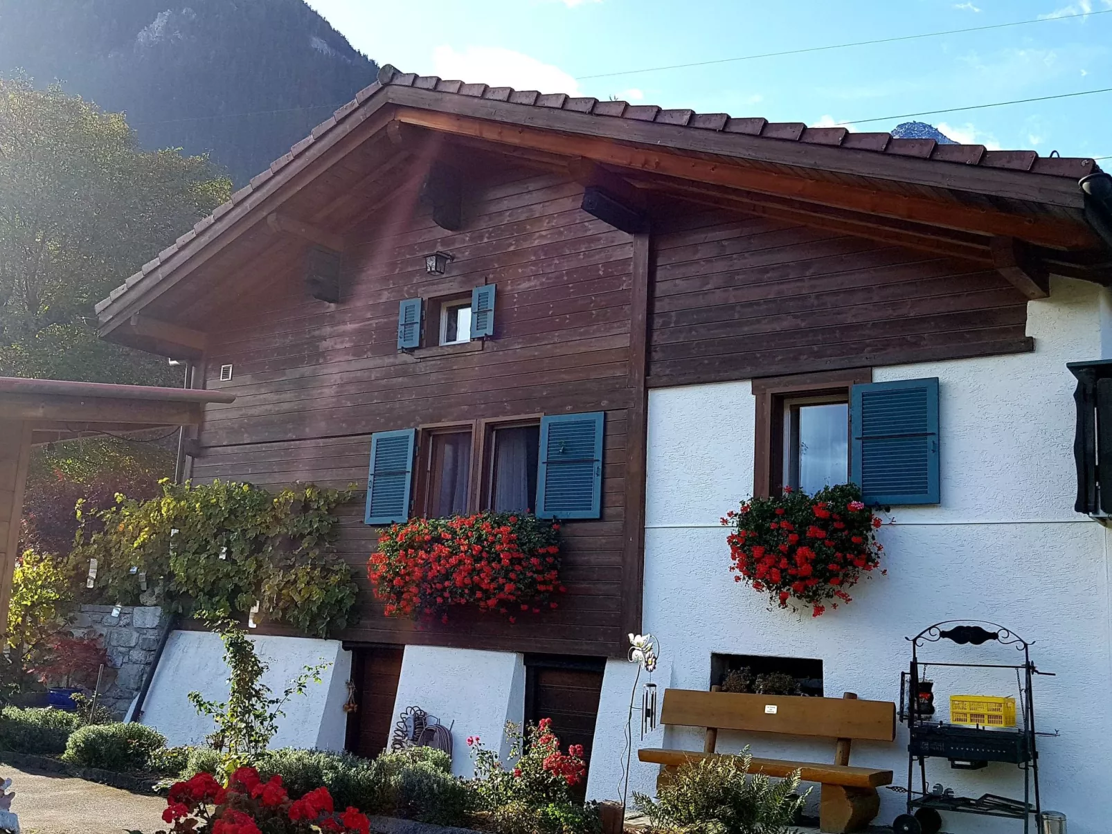 Chalet Haus (bei Einfahrt grosser Nussbaum )-Dehors