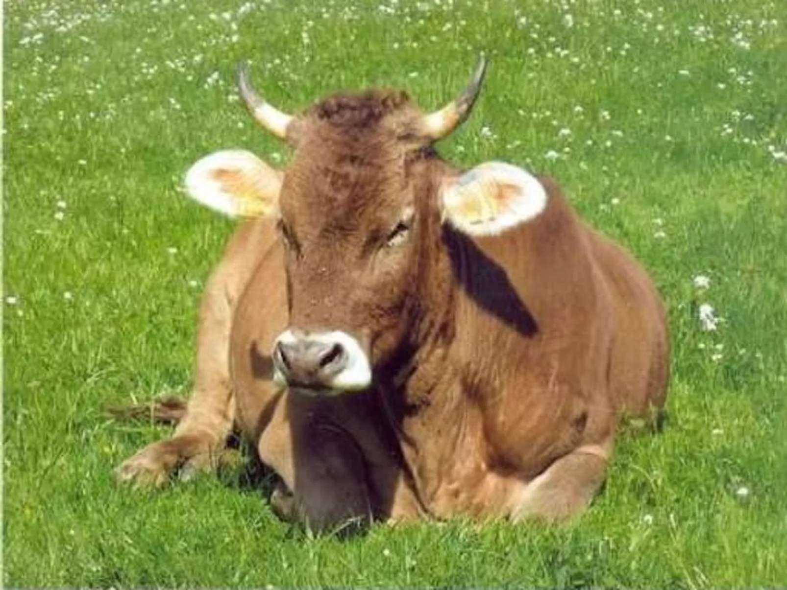 Bauernhof ufem Berg-Dehors