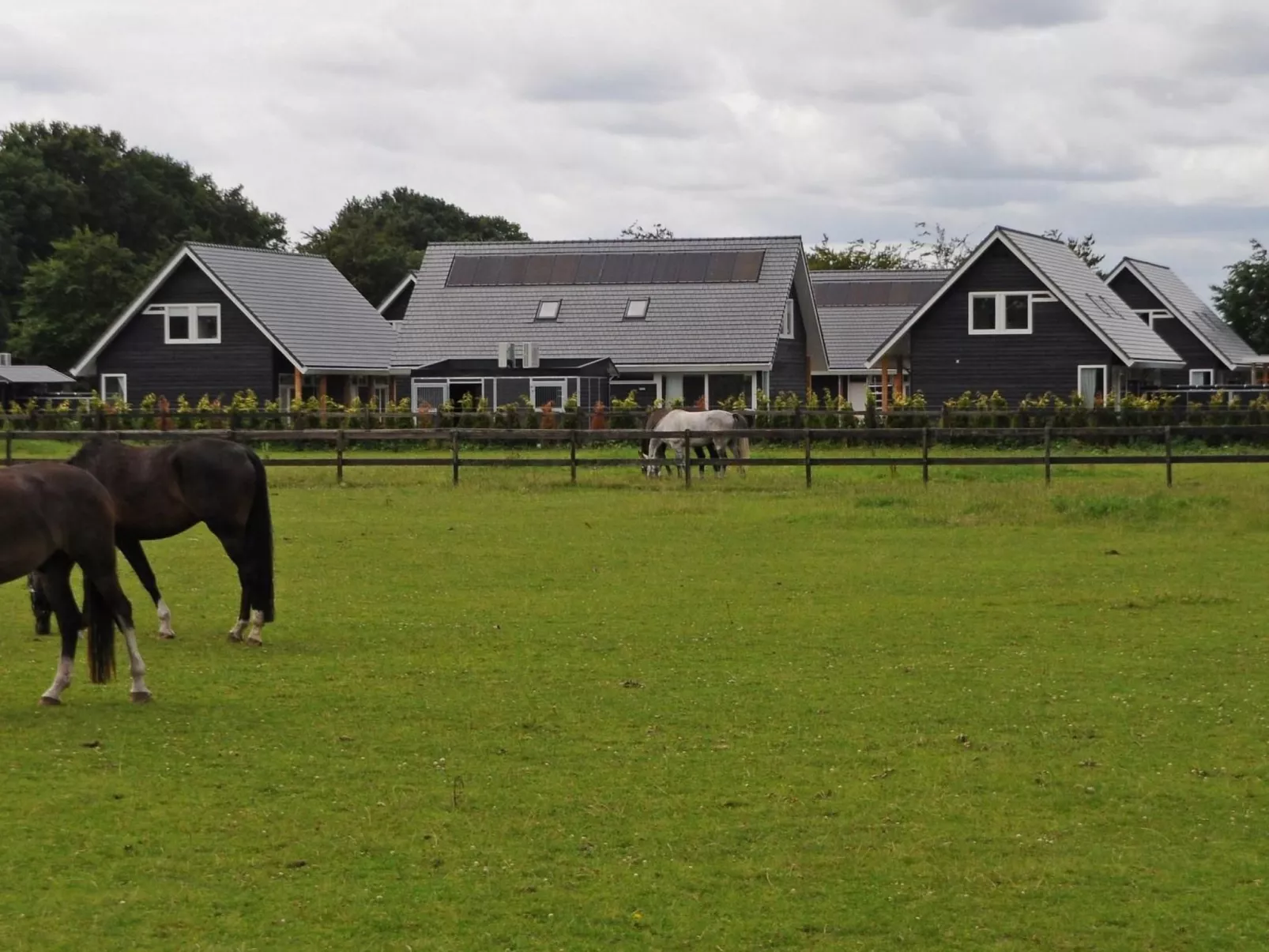 Anwesen "Oranjehorst"-Dehors