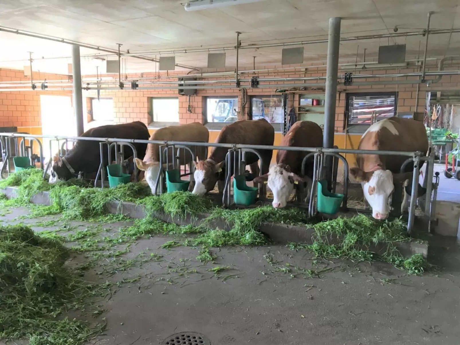 Bauernhof Gerber-Draußen